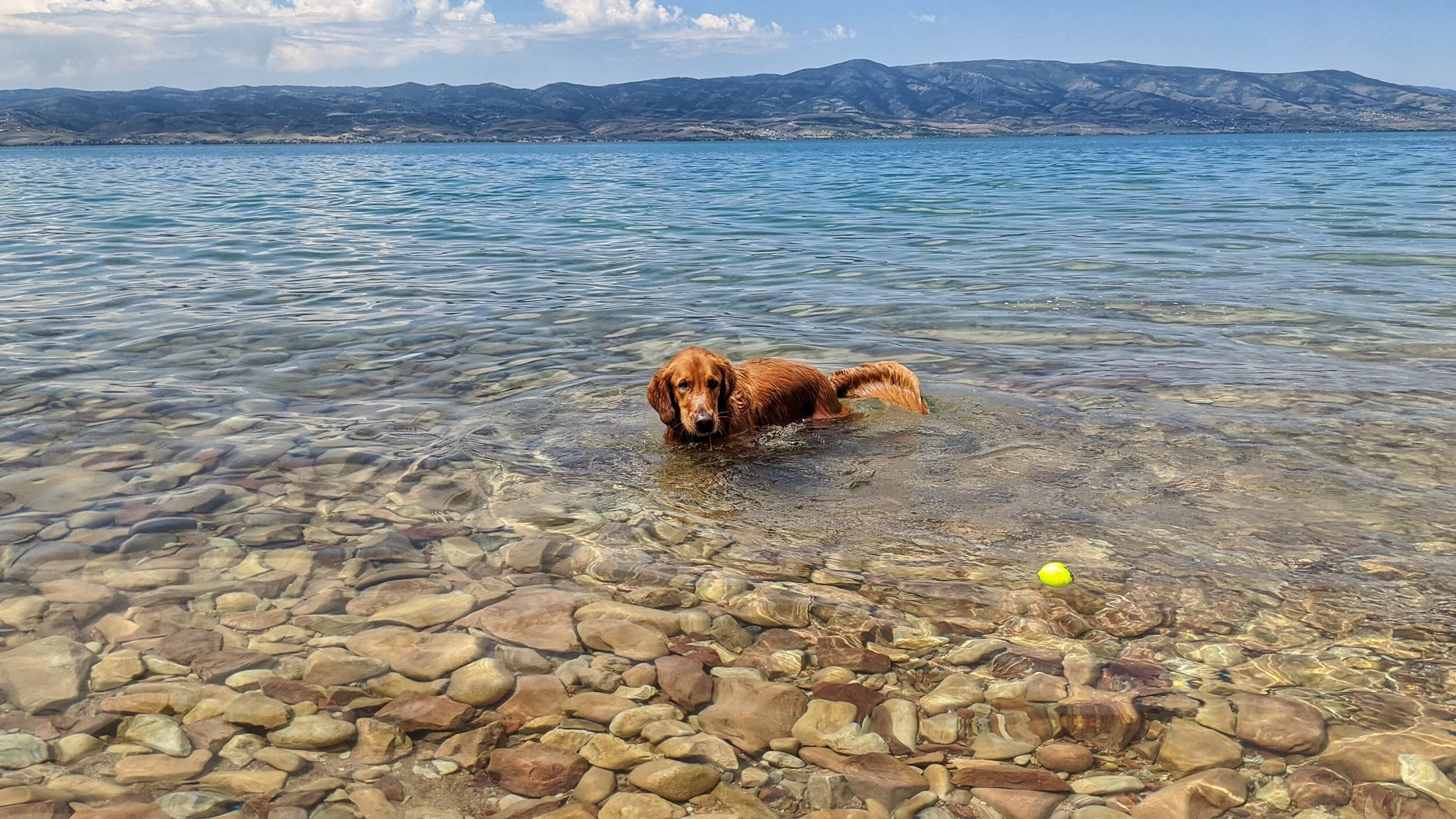 Dog Friendly Lakes And Reservoirs Near Salt Lake City Dog Friendly Slc