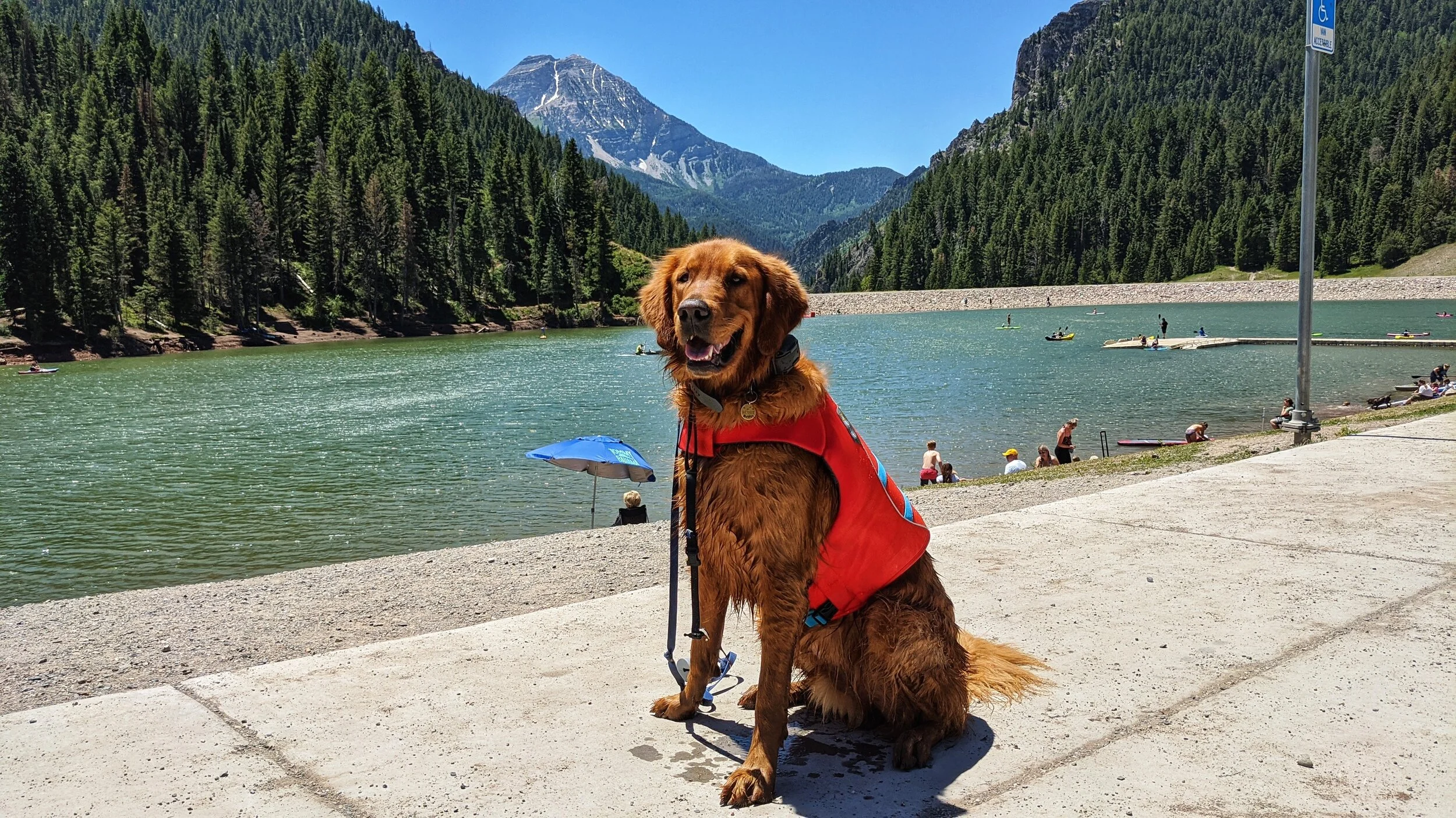 Dog Friendly Lakes And Reservoirs Near Salt Lake City — Dog Friendly SLC