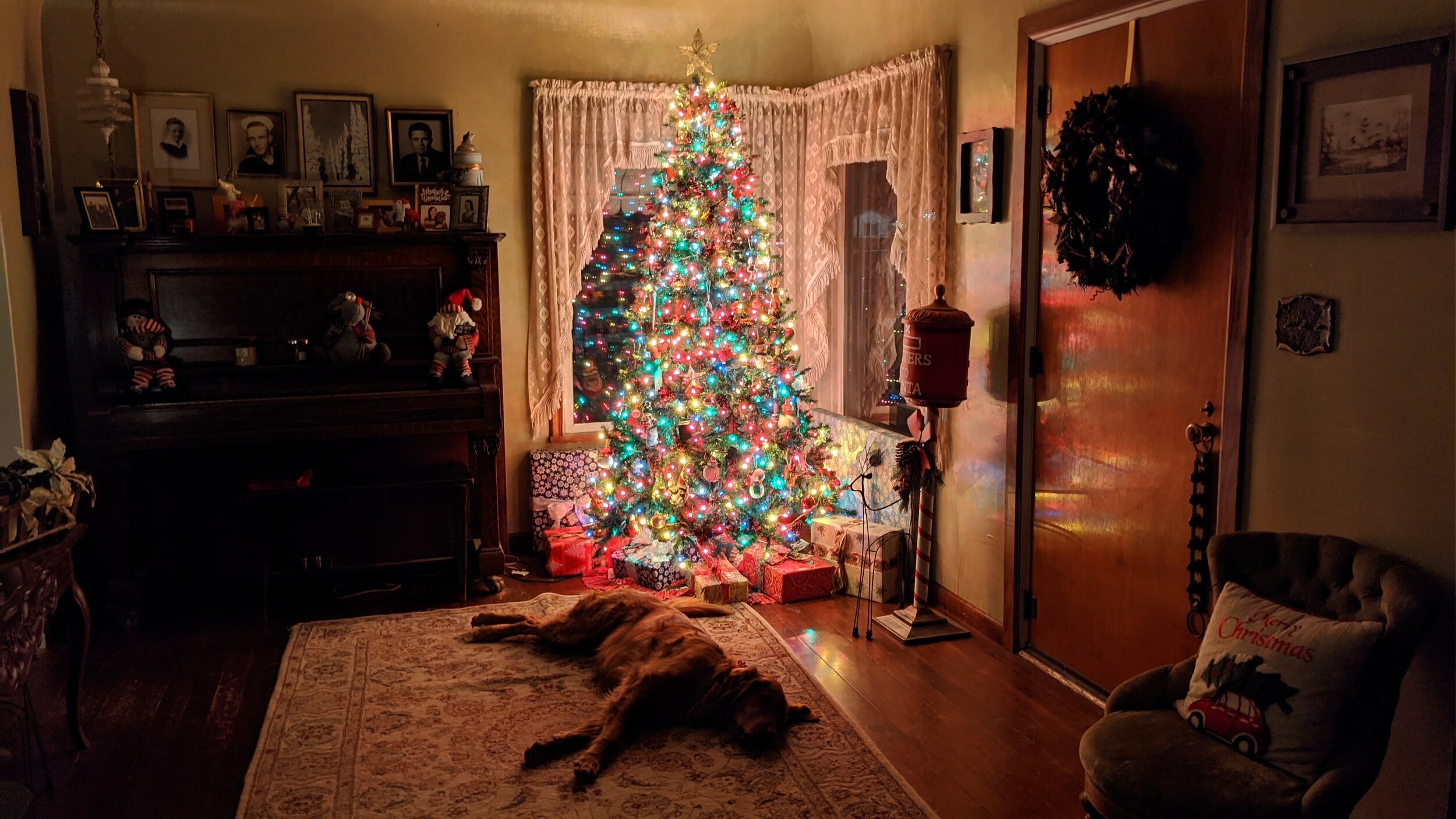 A golden retriever lays under a brightly lit Christmas tree in a dark room