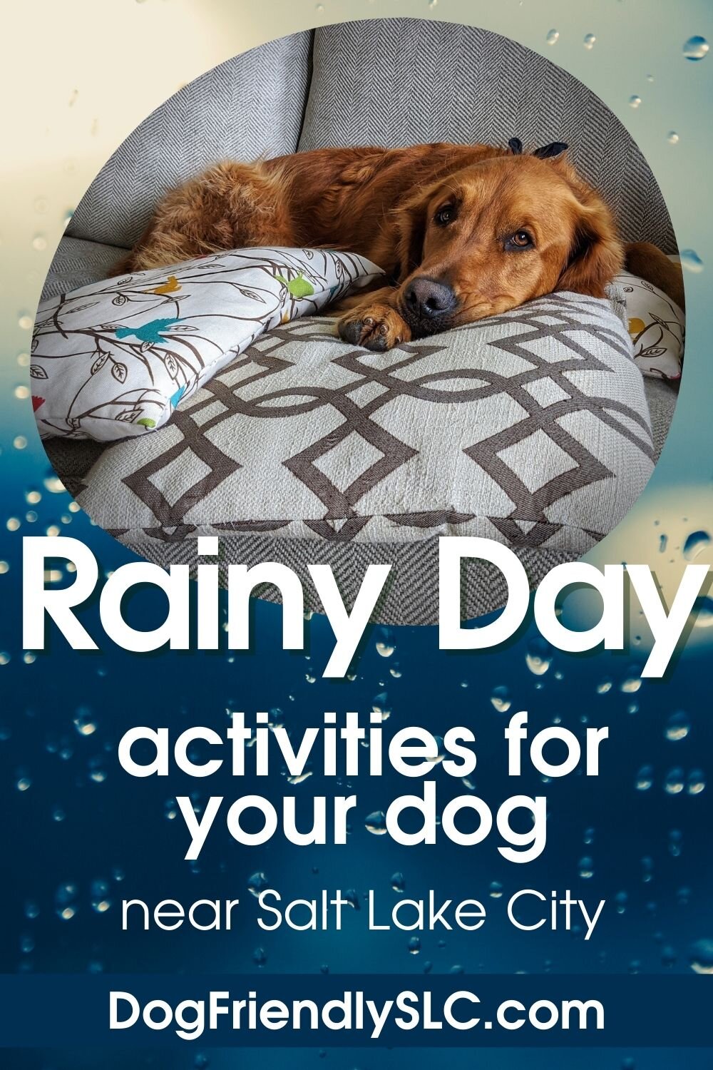 Dog Friendly SLC Rainy Day Guide