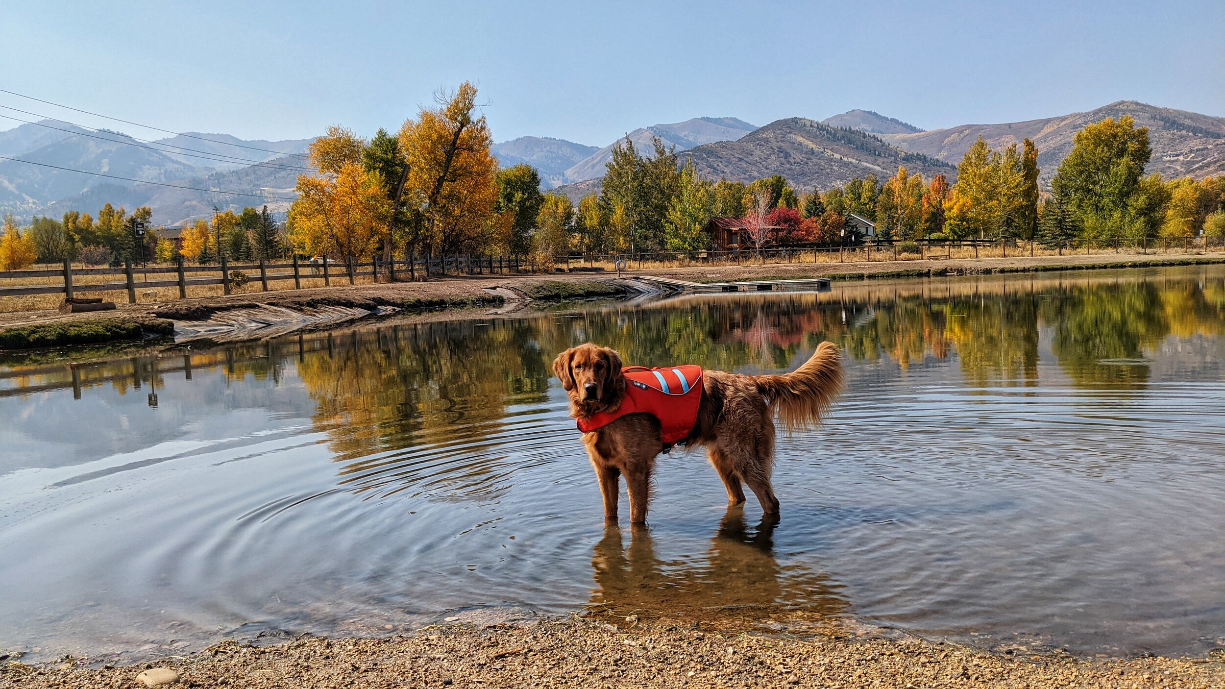 Best Dog Parks in and Around Salt Lake City — Dog Friendly SLC