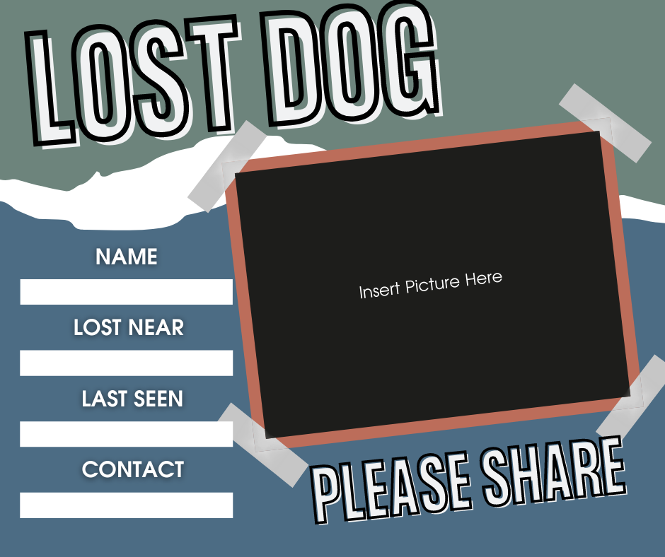 Lost Dog Facebook