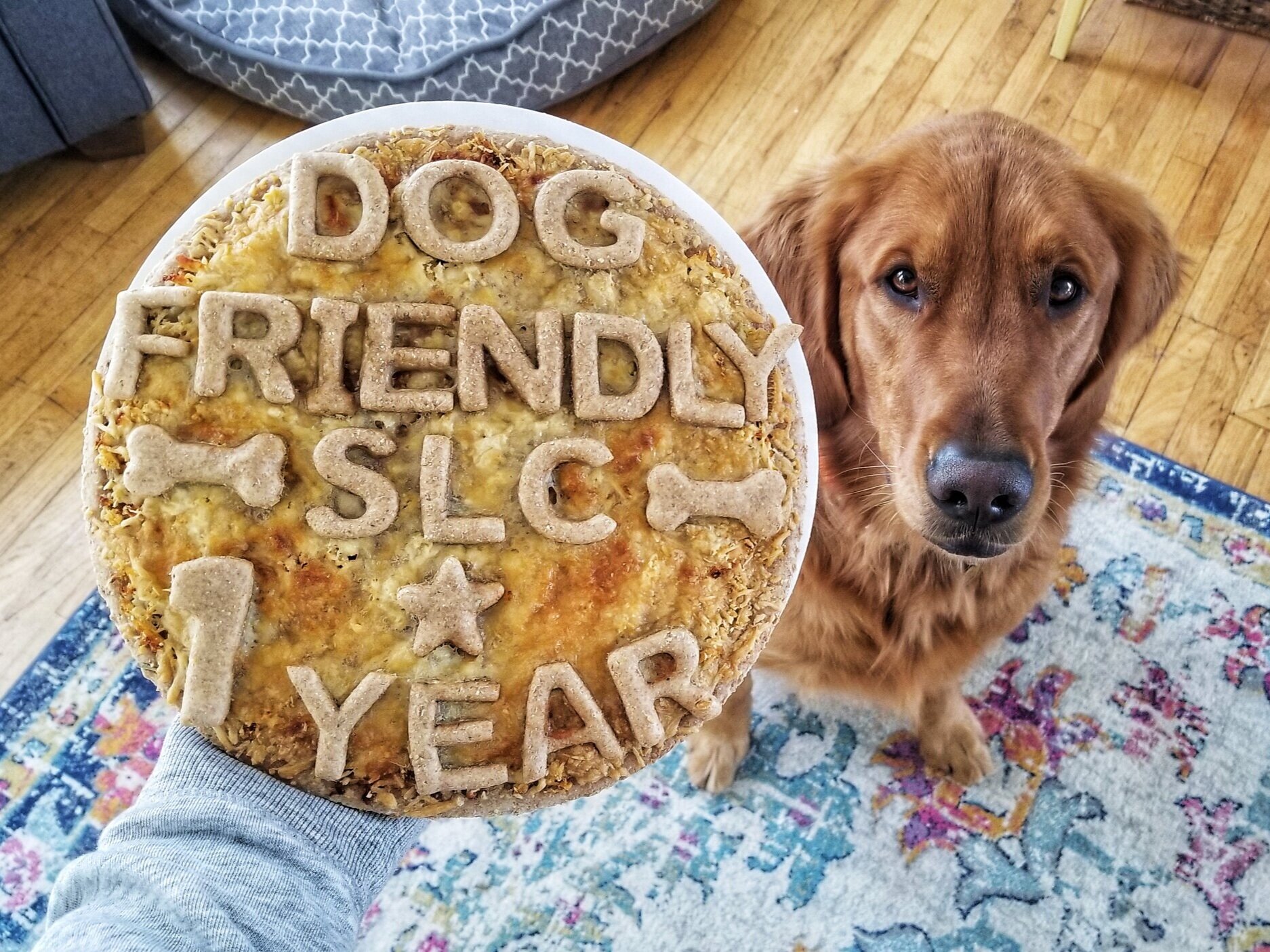 A person holds a dog pizza that reads “Dog Friendly SLC 1 year” in the foreground while a golden retriever stares up at the pizza in the background