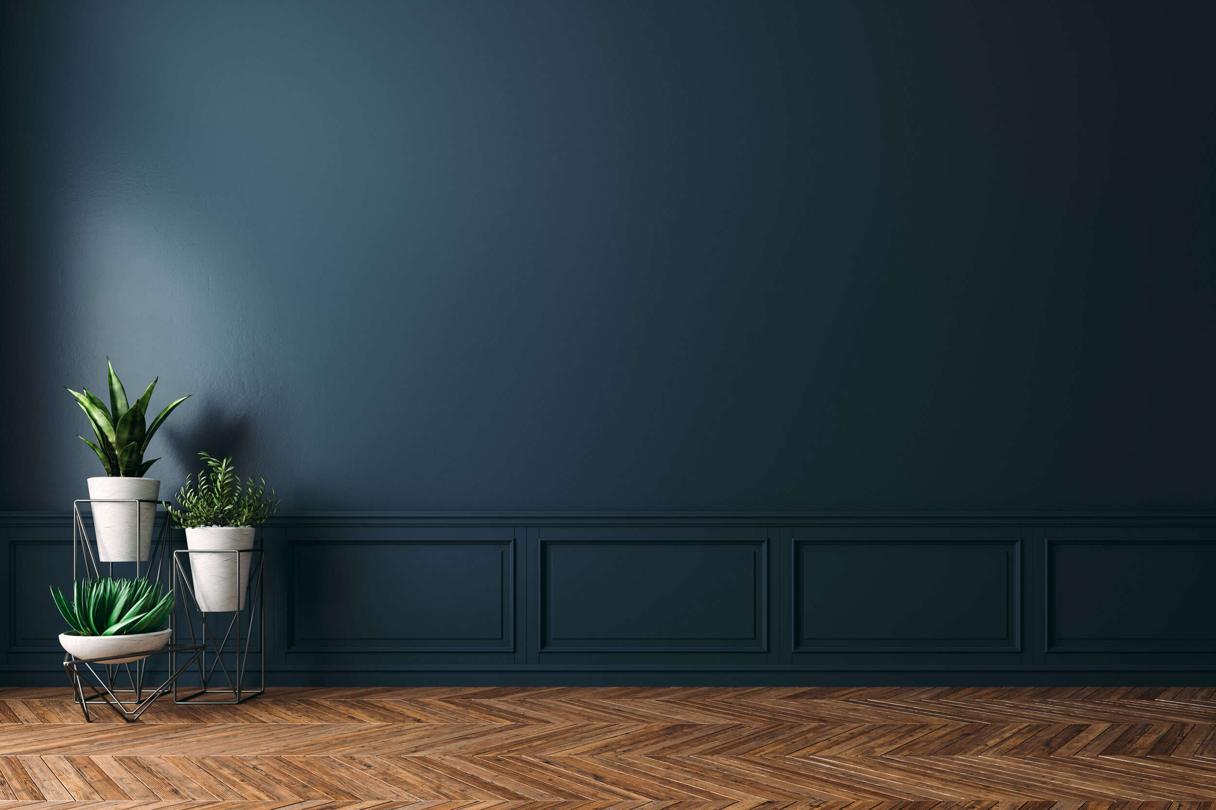 AdobeStock_273119624.jpeg