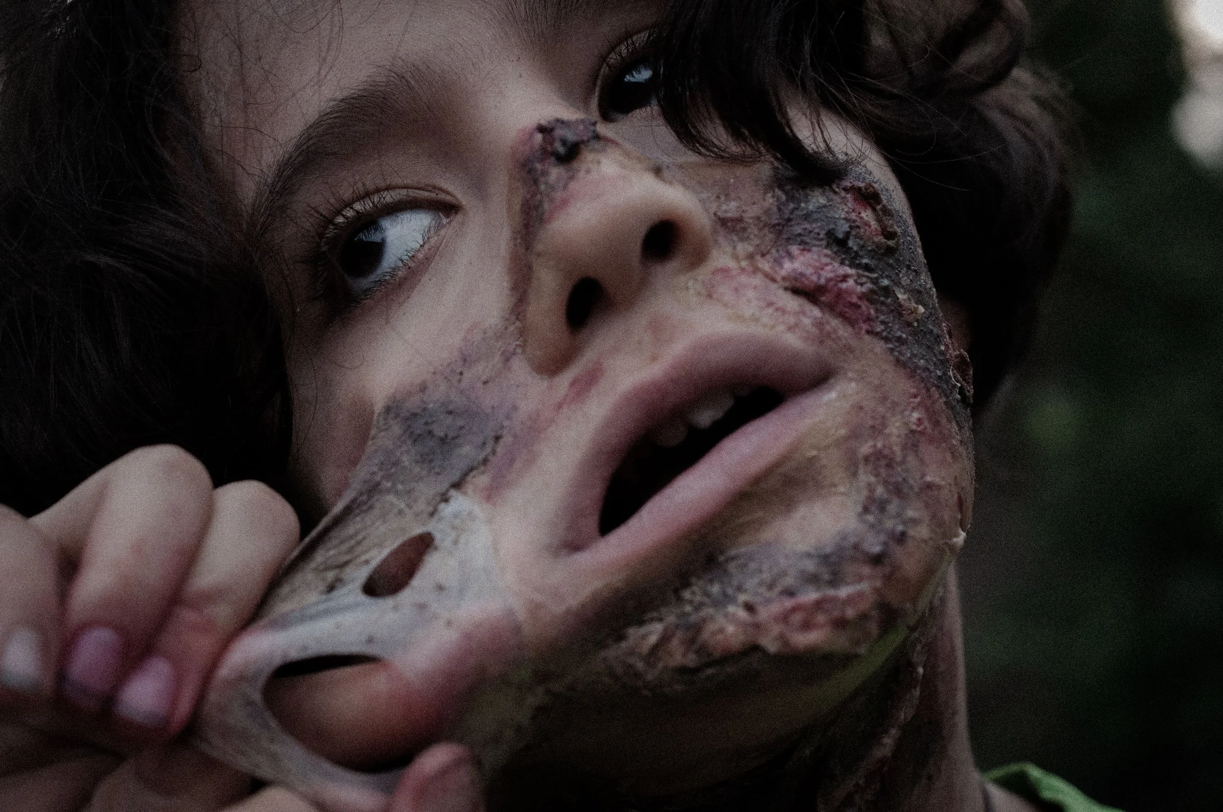 Zombie Christmas_11_DSC_0555.jpg