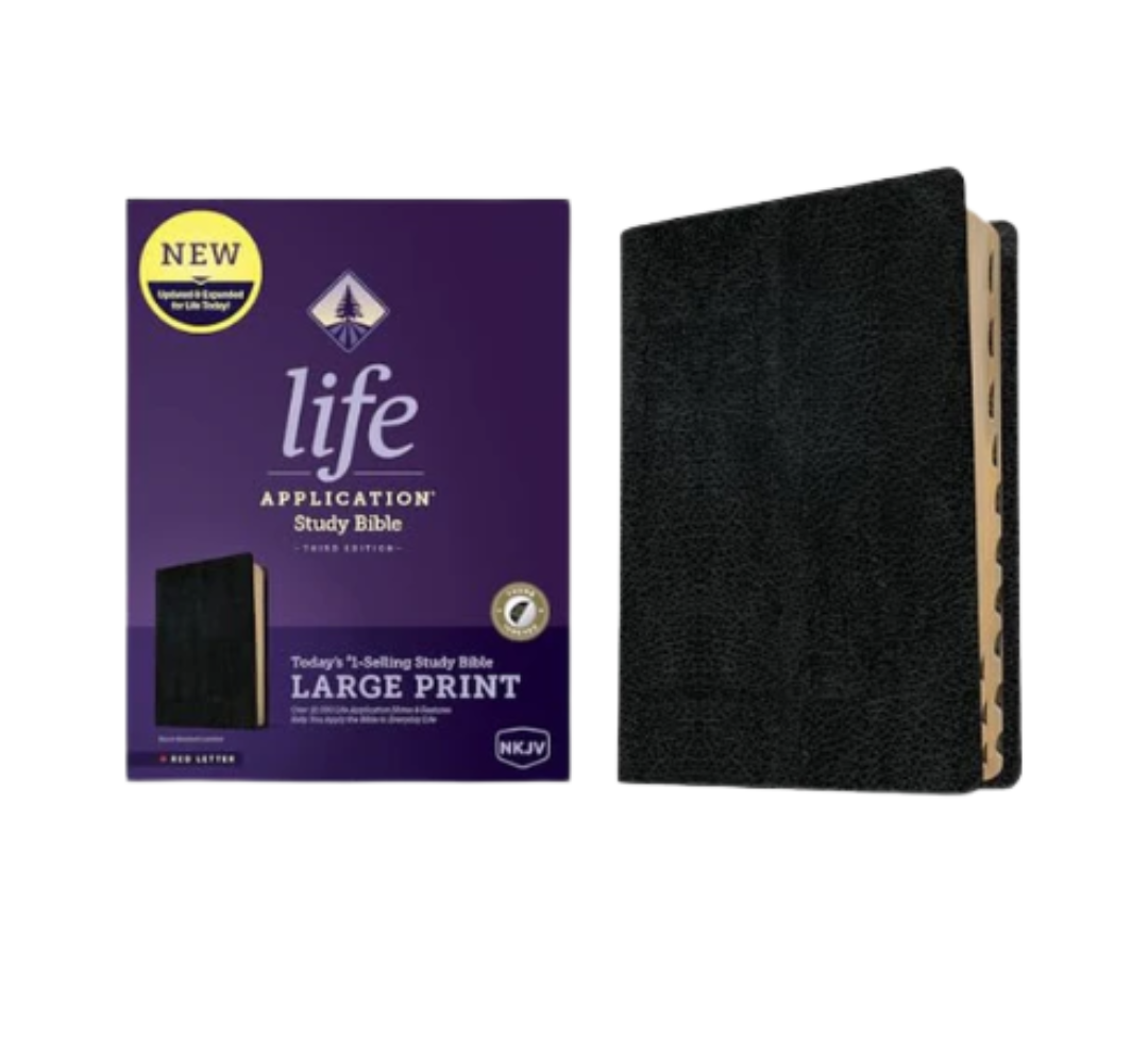 Life Application Study Bible
