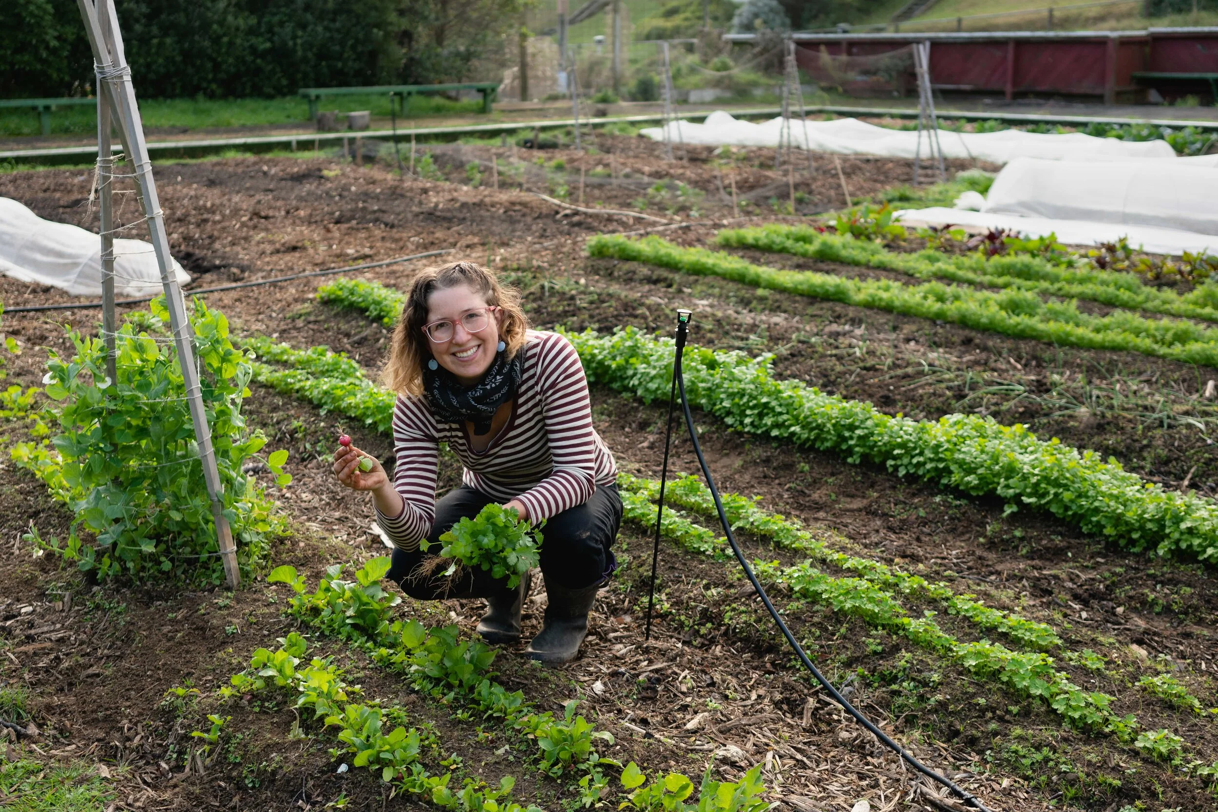 FullRes_EdibleEarth-42 2-min.jpg