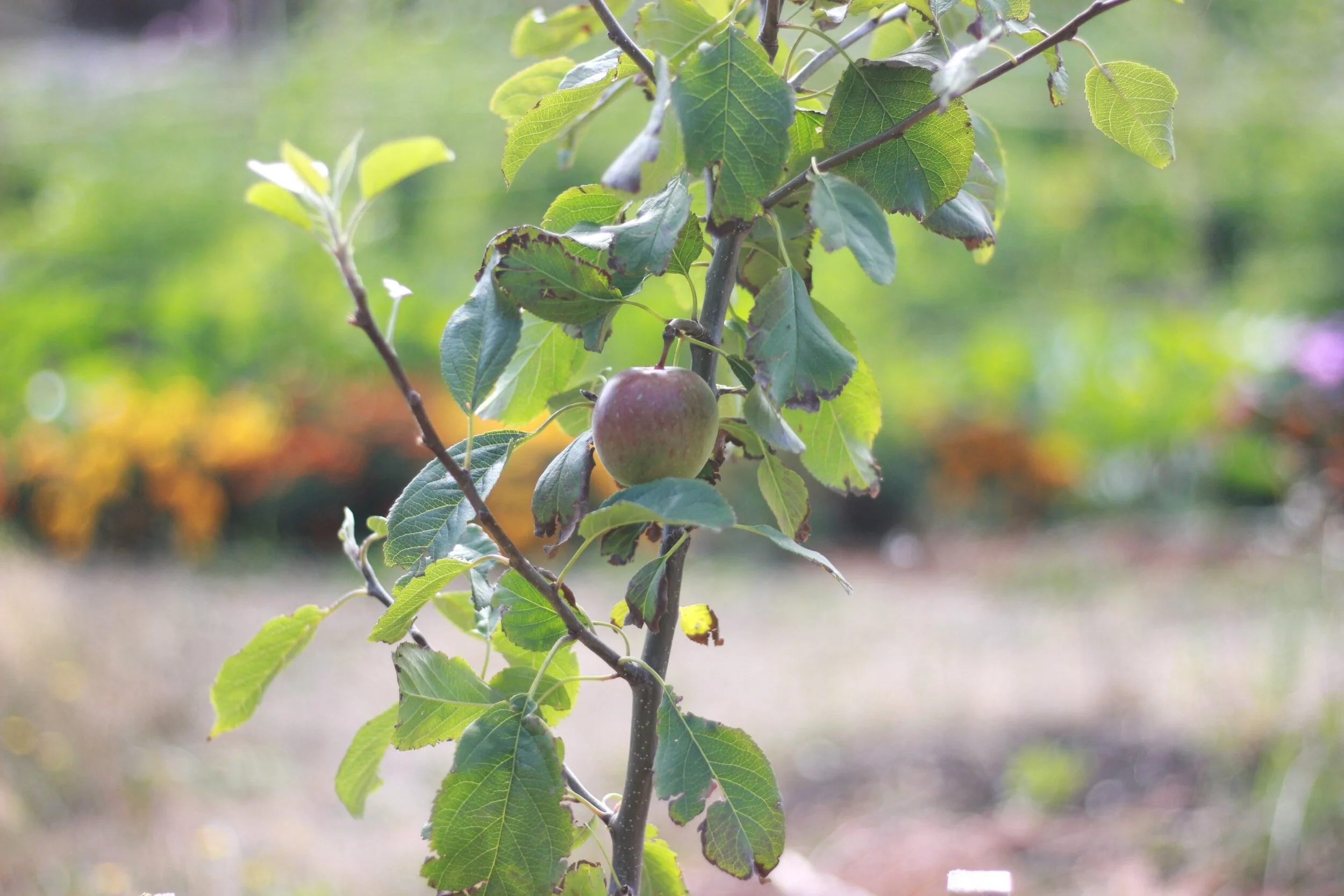 2020-05-14 09.50.37-min.jpg