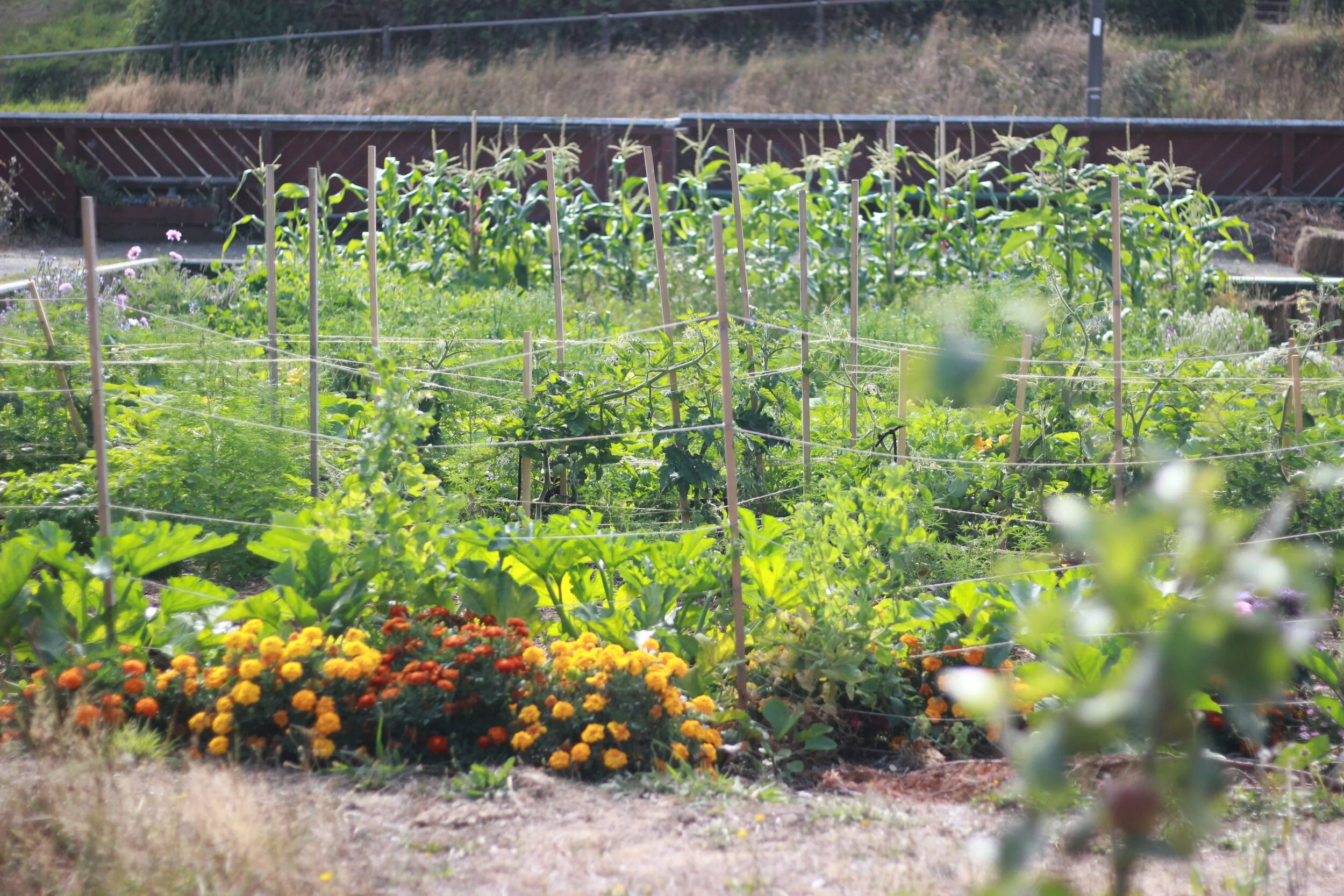 2020-05-14 09.51.47 (1).jpg