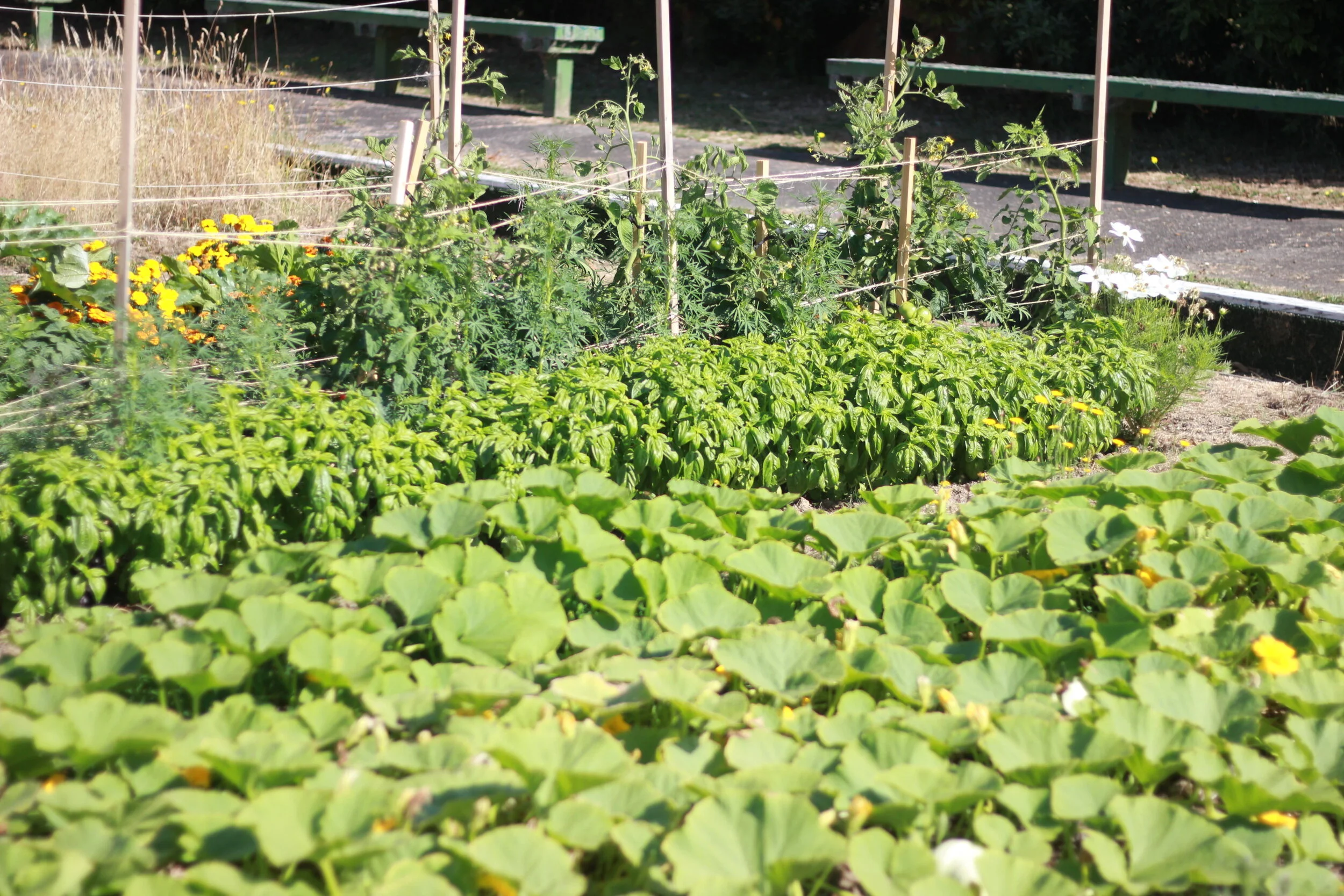 2020-05-14 10.07.21.jpg