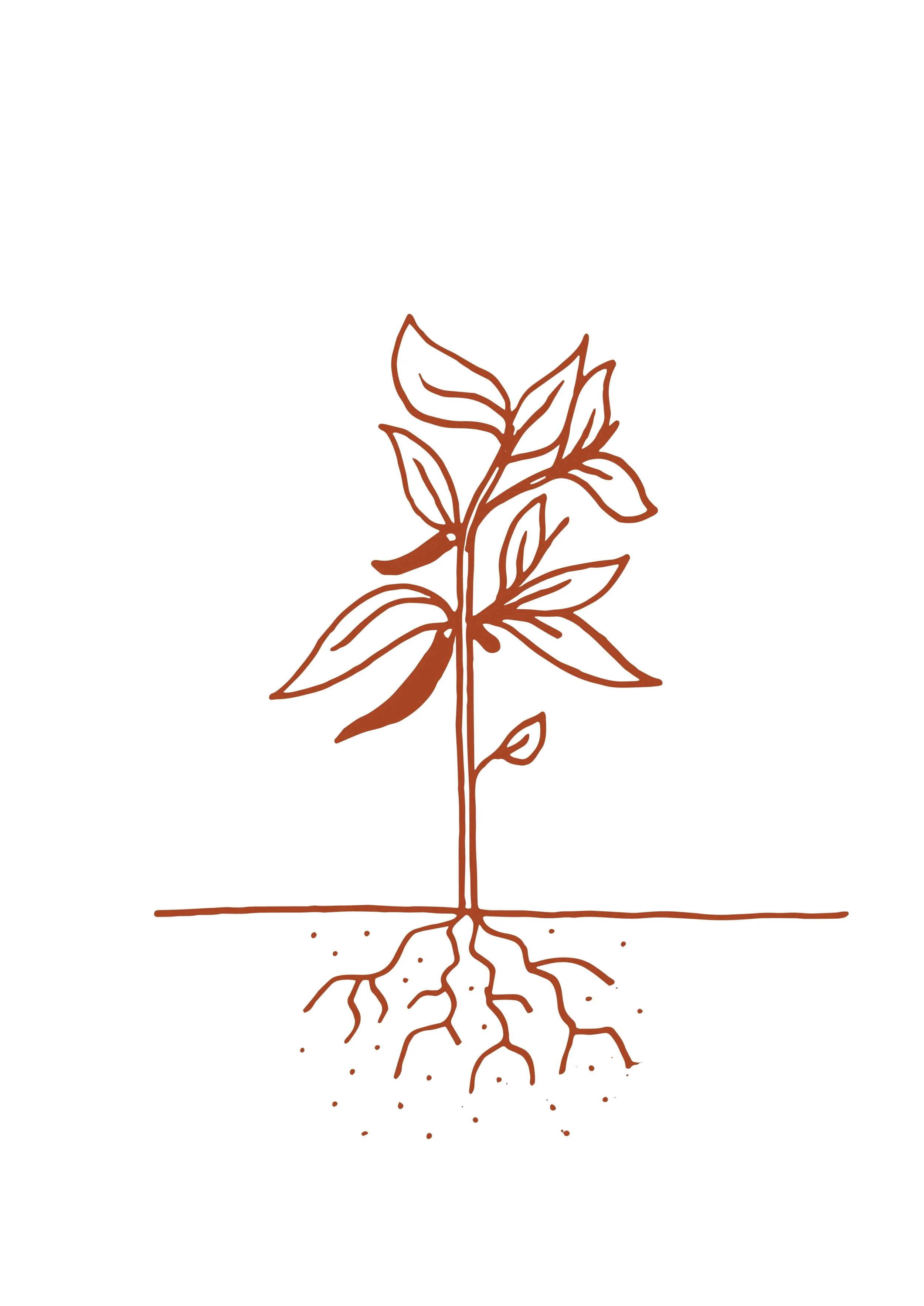 Plant your august climate garden