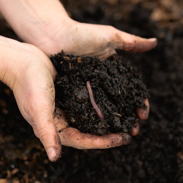 A lot of people (us) are talking about composting. But, why is it so damn cool? Amongst other things it is a super natural and realistic way to reduce your footprint and do good things for planet and people. Get convinced to get your hands dirty via 