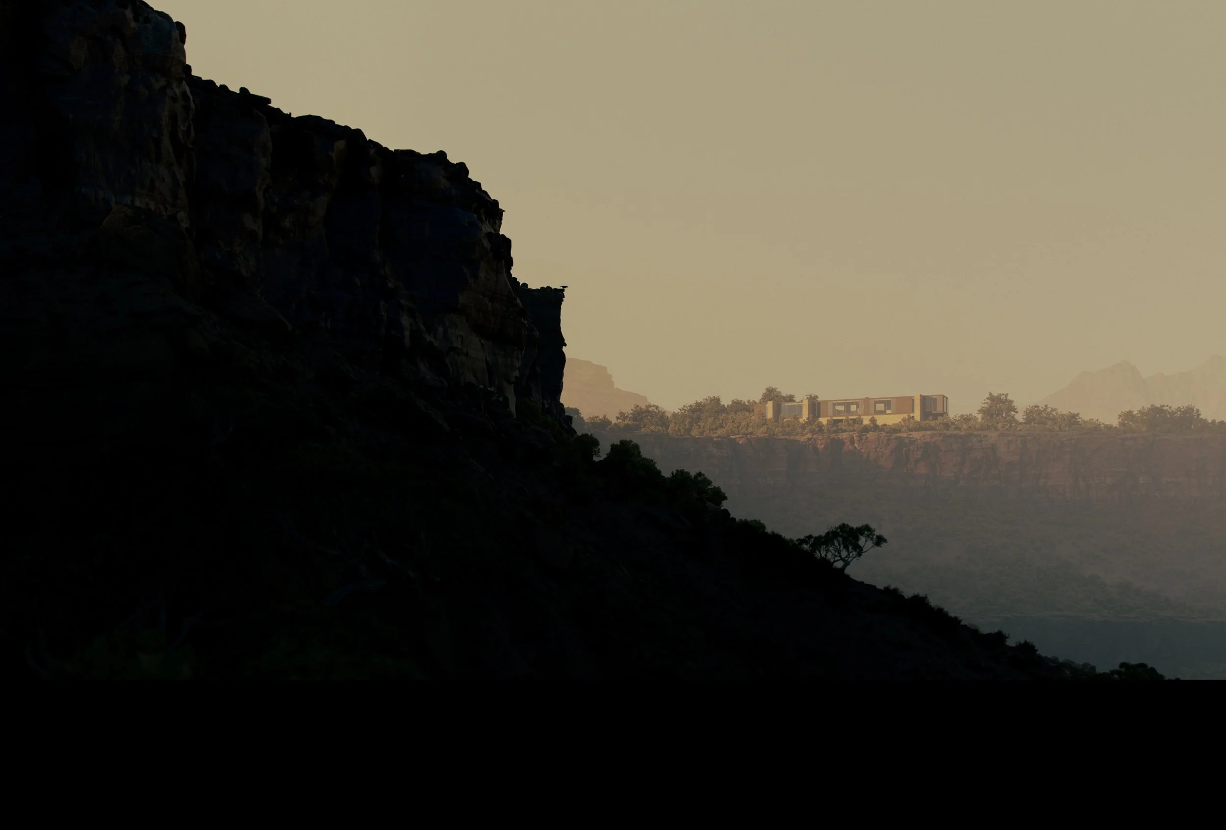 BRU_EXT_01_Canyon Tree.jpg