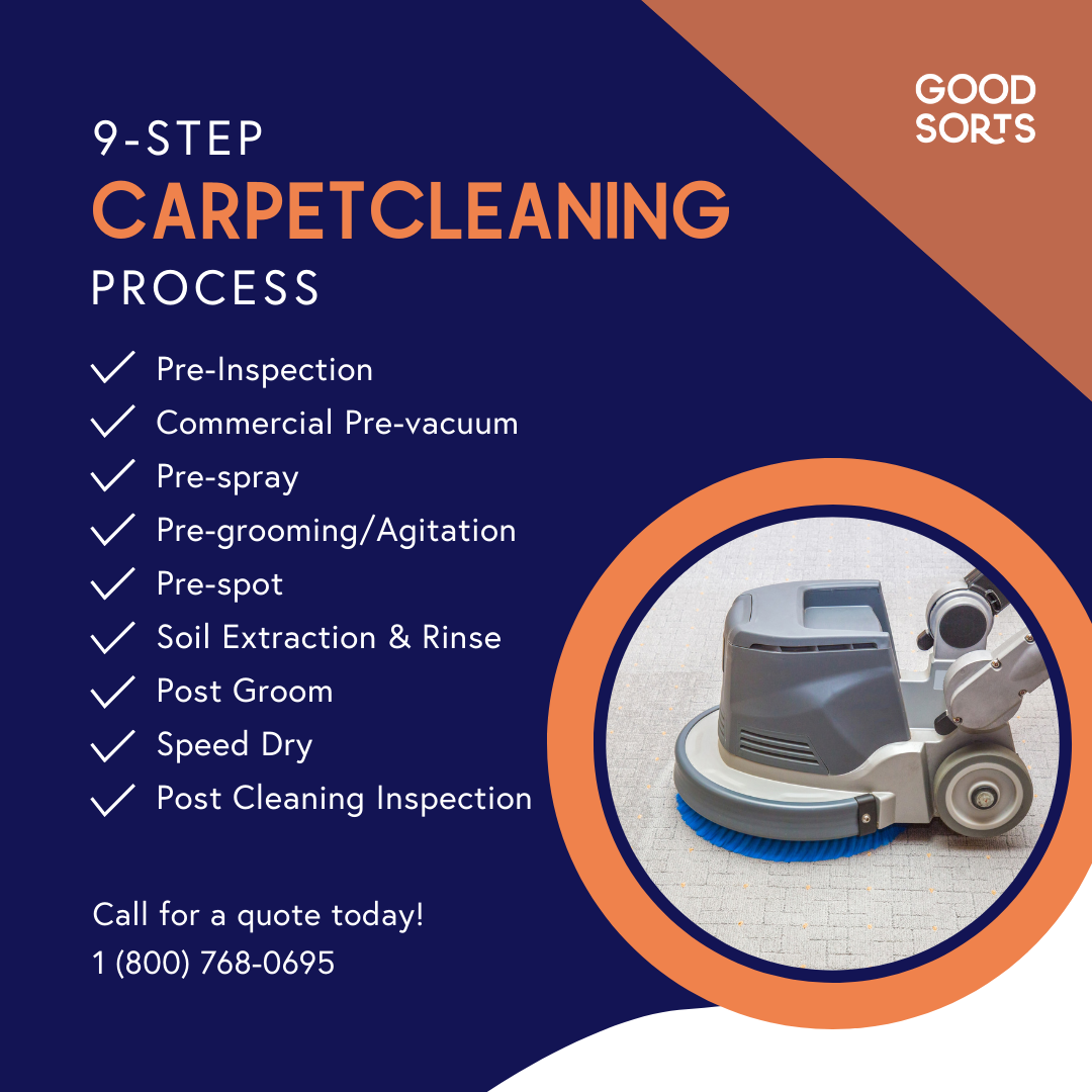 Good Sorts’ 9Step Carpet Cleaning Process Good Sorts
