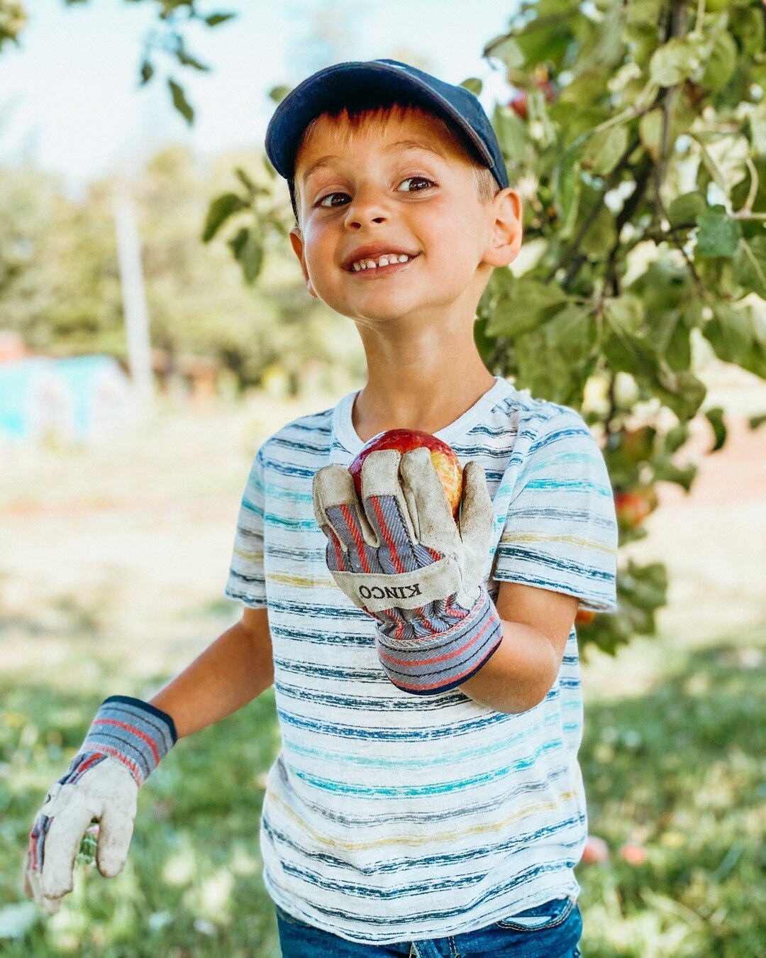 What's a fun FALL tradition or activity that you do on your farm? Tell us in the comments! ⠀⠀⠀⠀⠀⠀⠀⠀⠀
.⠀⠀⠀⠀⠀⠀⠀⠀⠀
Our tradition is we make our own APPLE CIDER. It's always a fun night filled with friends, family, food and hard work. A few close family 