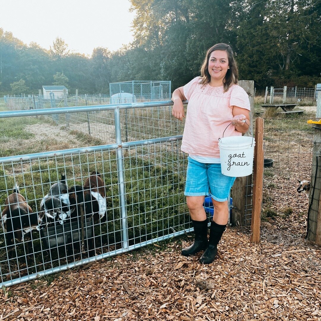 Our evening chores are very quick now that our chickens are processed. It literally consists of feeding these milking does their grain, checking water and feeding the dogs. I normally go in and snuggle the goats though. 🐐 How long do your evening ch