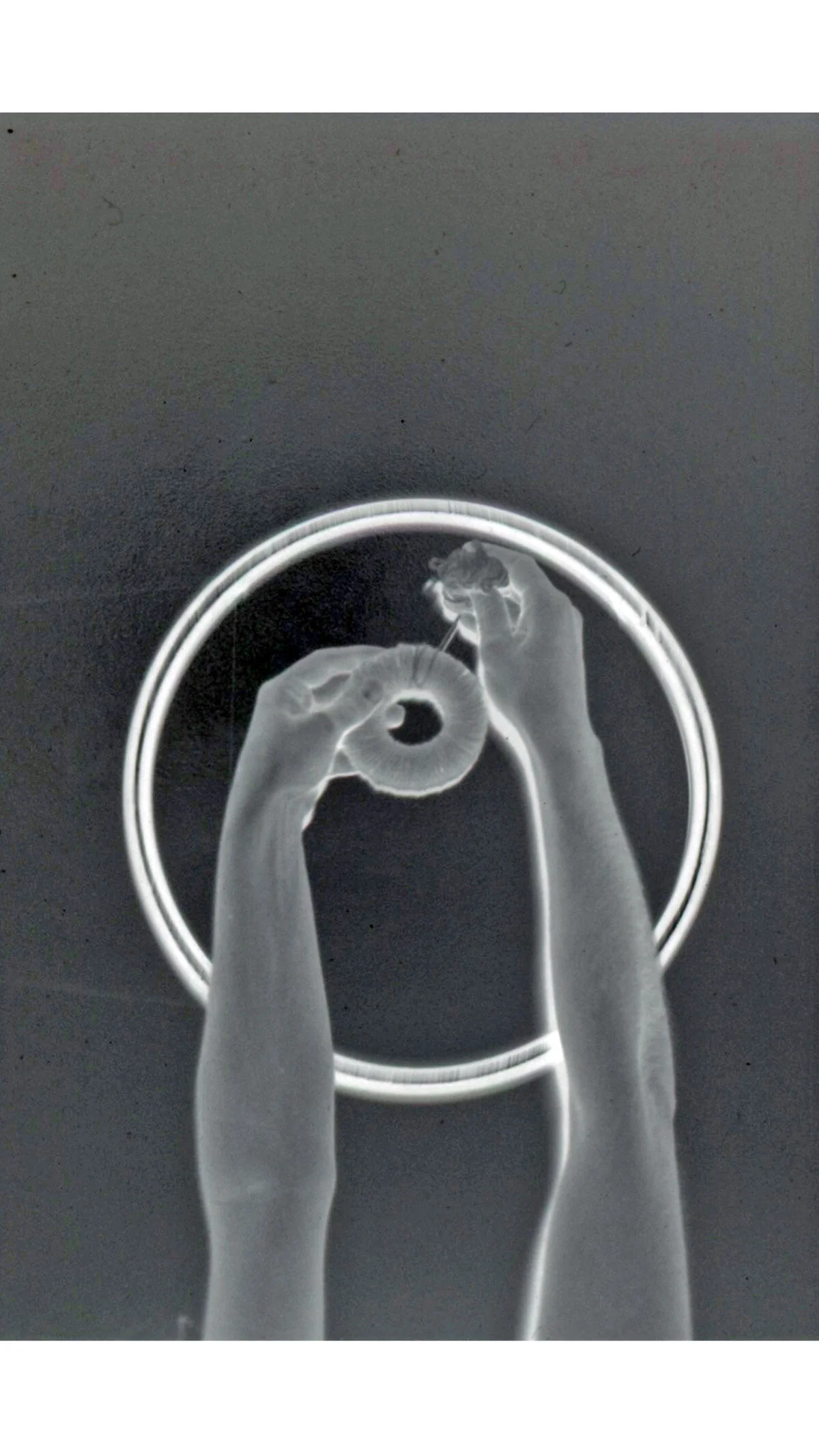 Cork and Match Spider