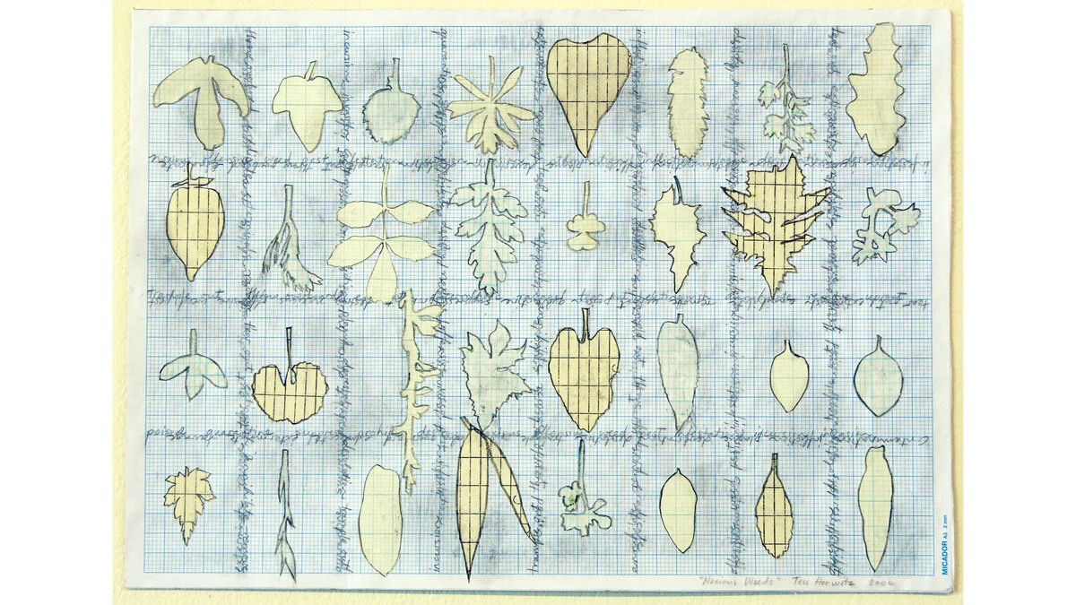 noxious weeds 1 template.jpg