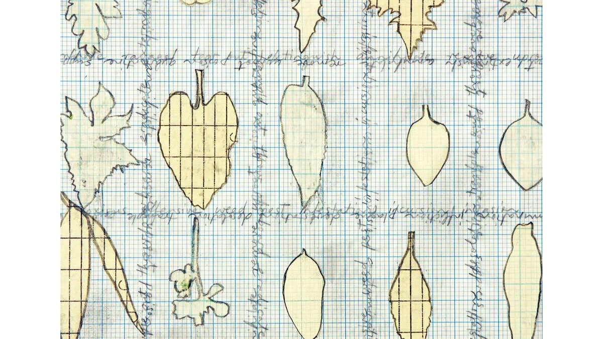 noxious weeds 2 template.jpg
