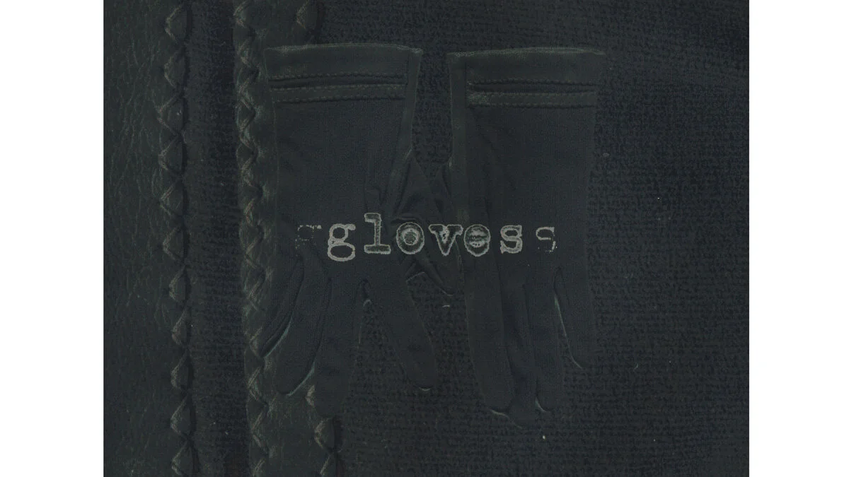 glovebox 11 template.jpg