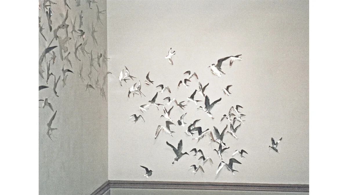birds 1 template copy.jpg
