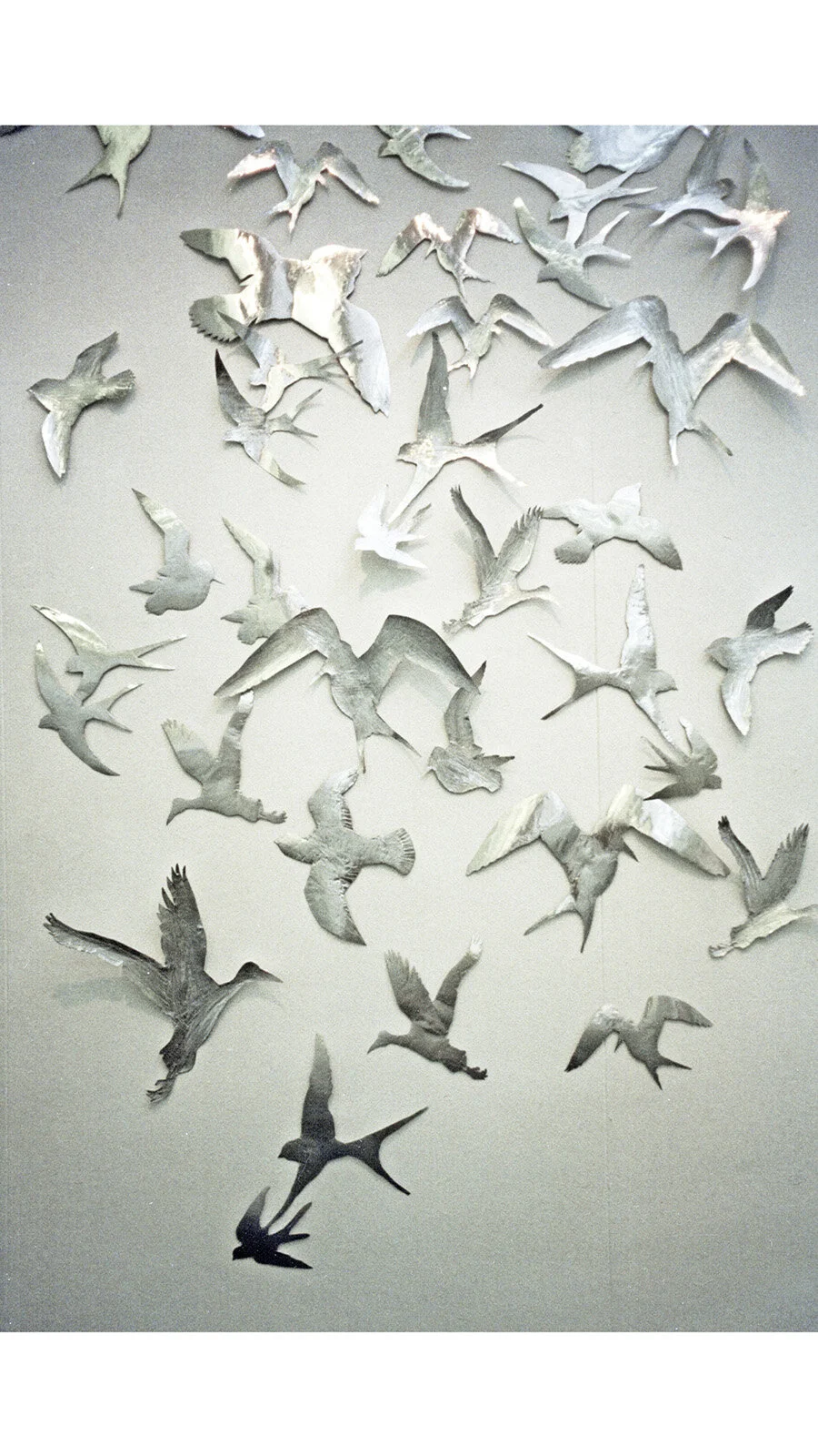 birds 4 template copy.jpg