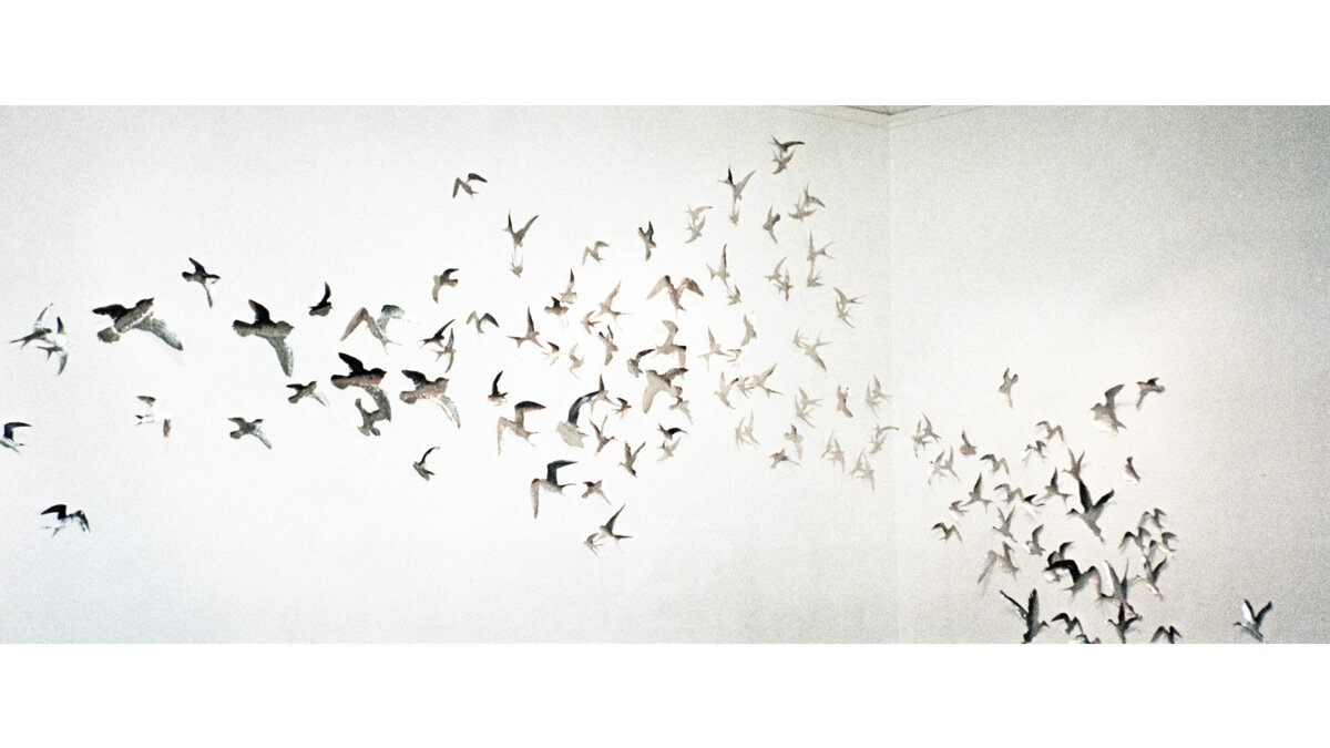 birds 5 template copy.jpg
