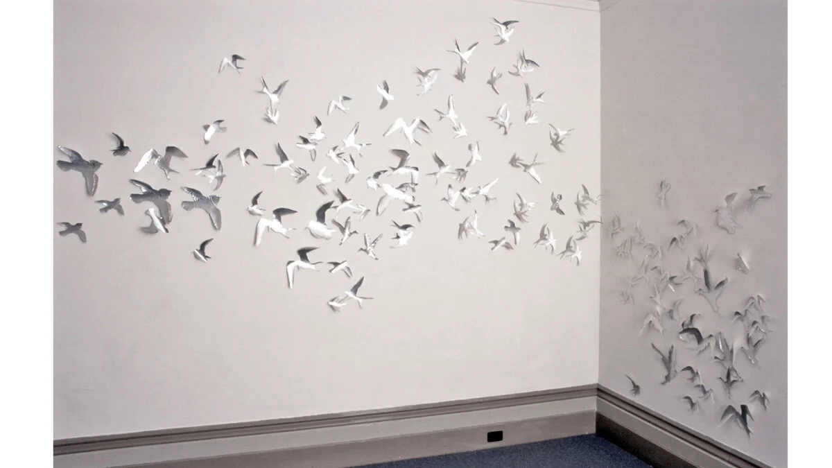 birds 8 template copy.jpg