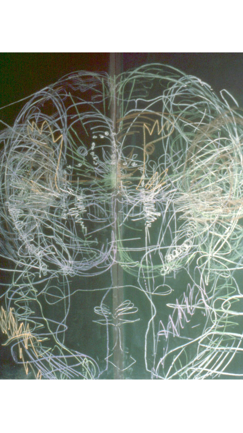 1991 Drawn From Within Angela Fitzpatrick template.jpg
