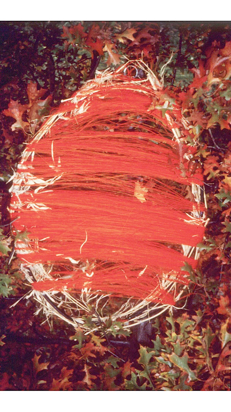 shield red wool template.jpg