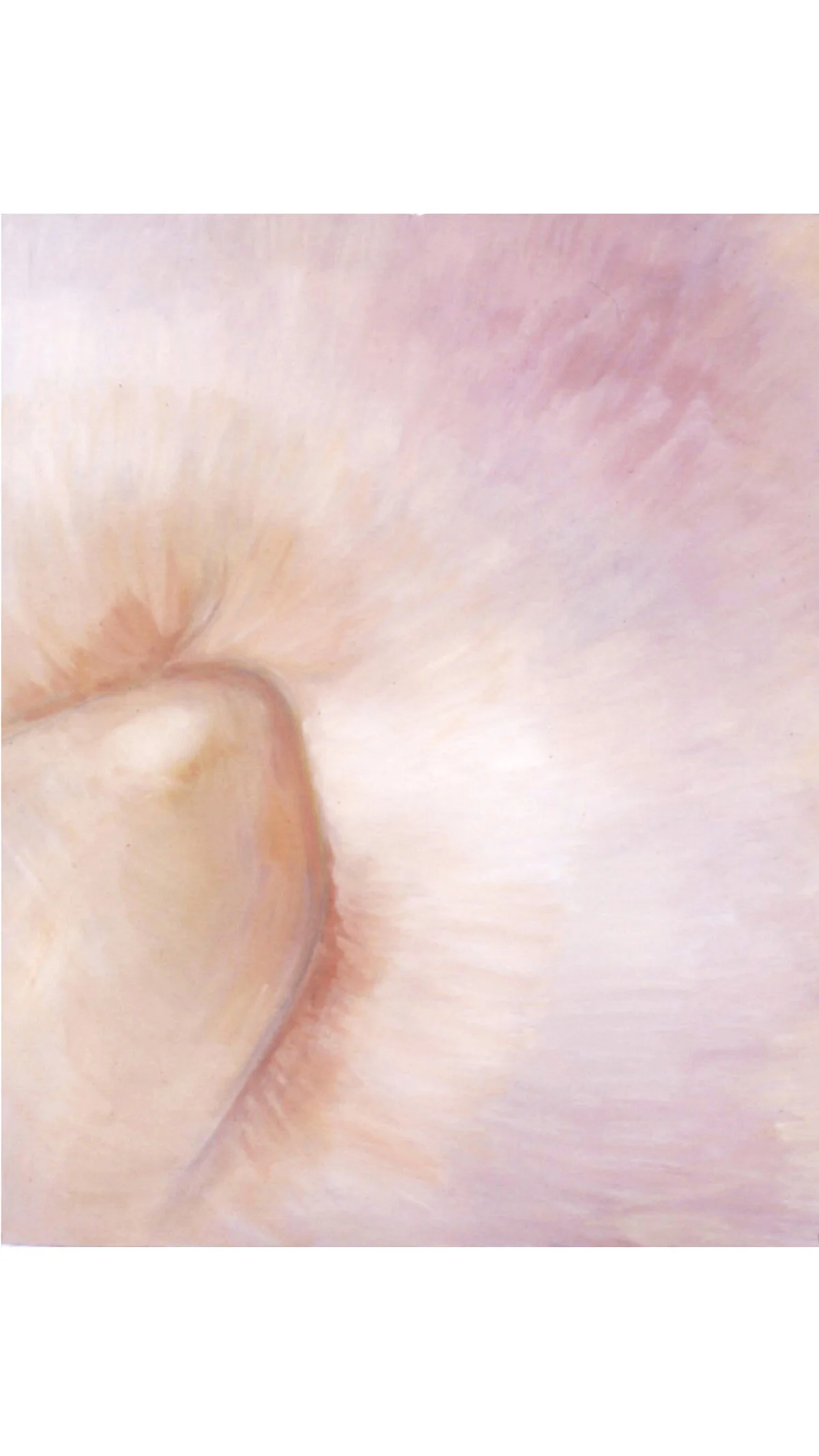 horn res 24 template copy.jpg