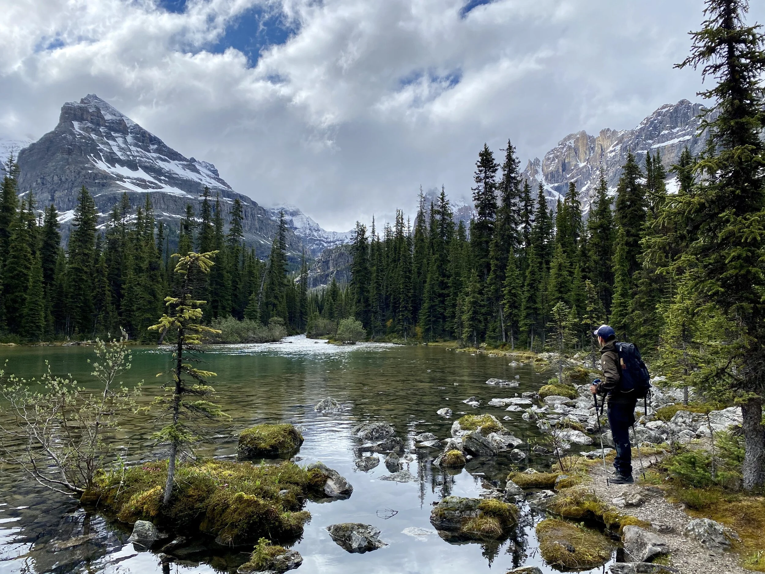 Lake O'Hara.jpg