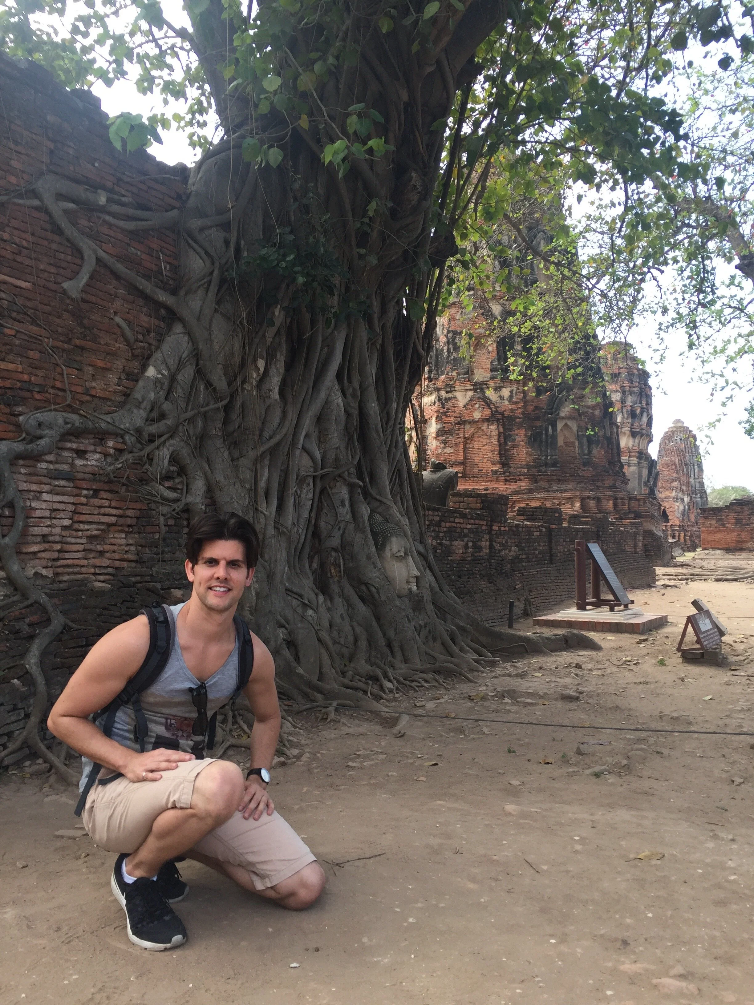 The sandstone Buddha.