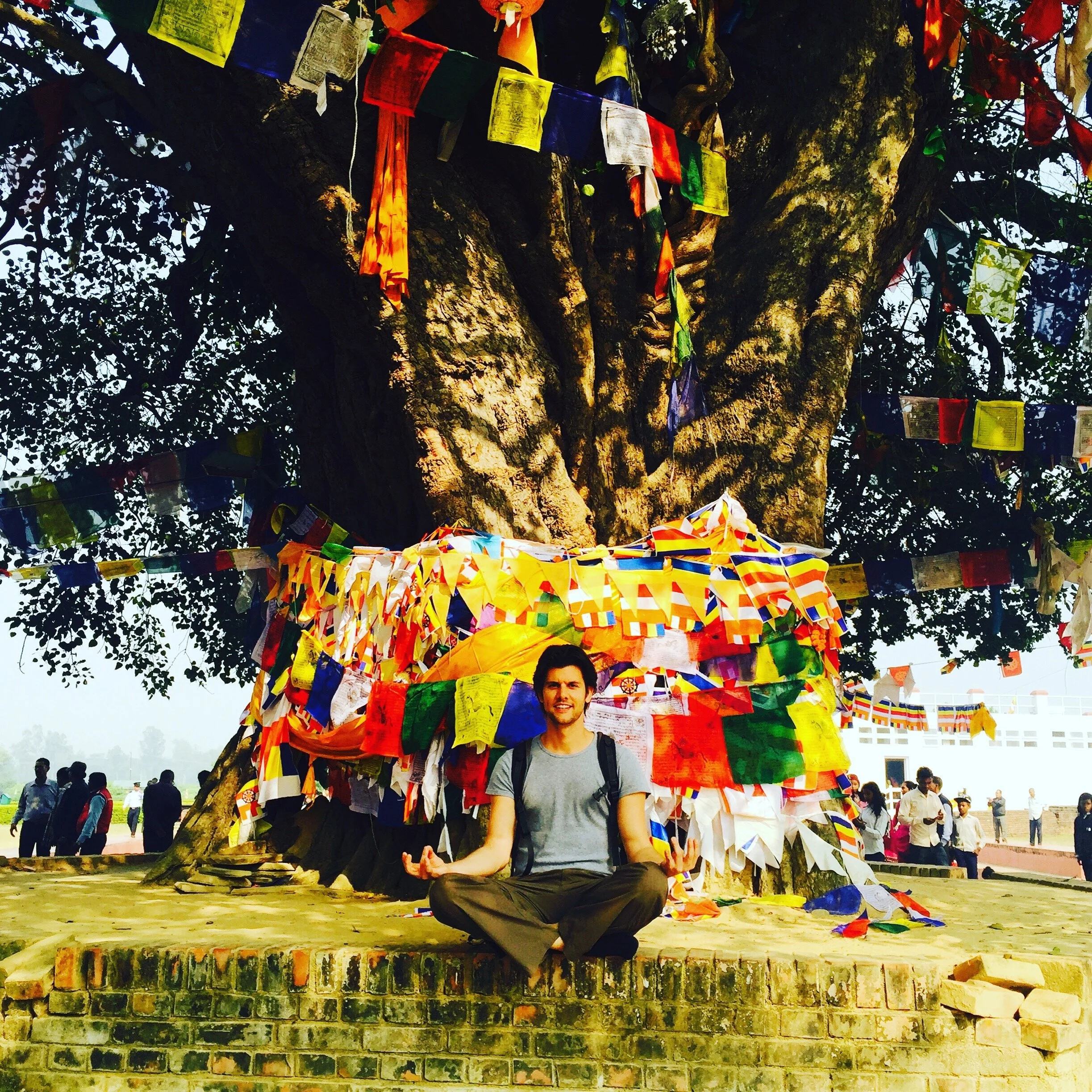 The Sacred Bodhi Tree.