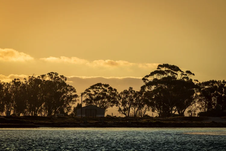 Sponsorship Opportunities — AACC