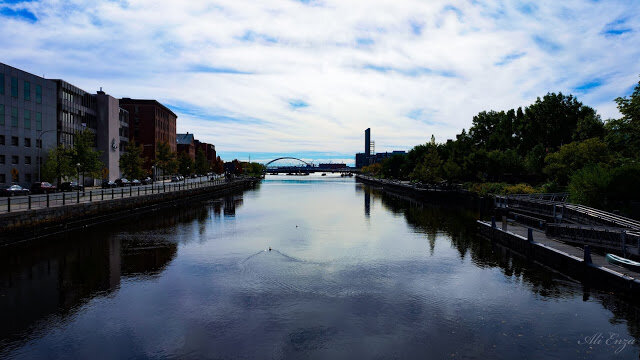 Views from the Bridge