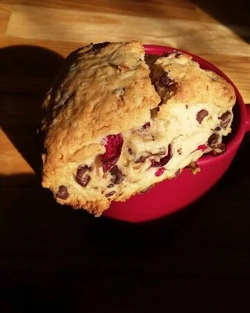 Baking Adventures: Cranberry Chocolate Chip Scones