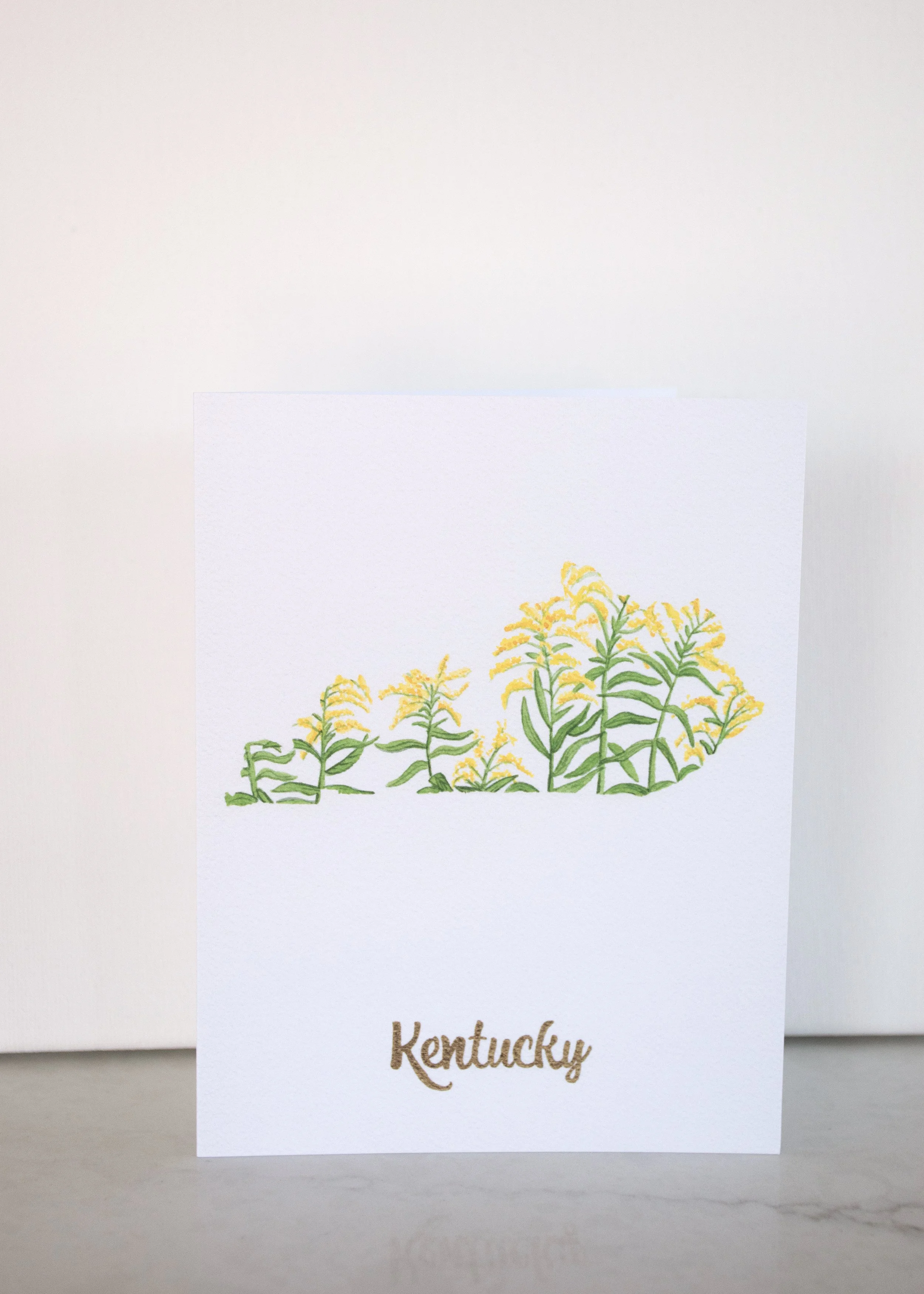 Kentucky.jpg