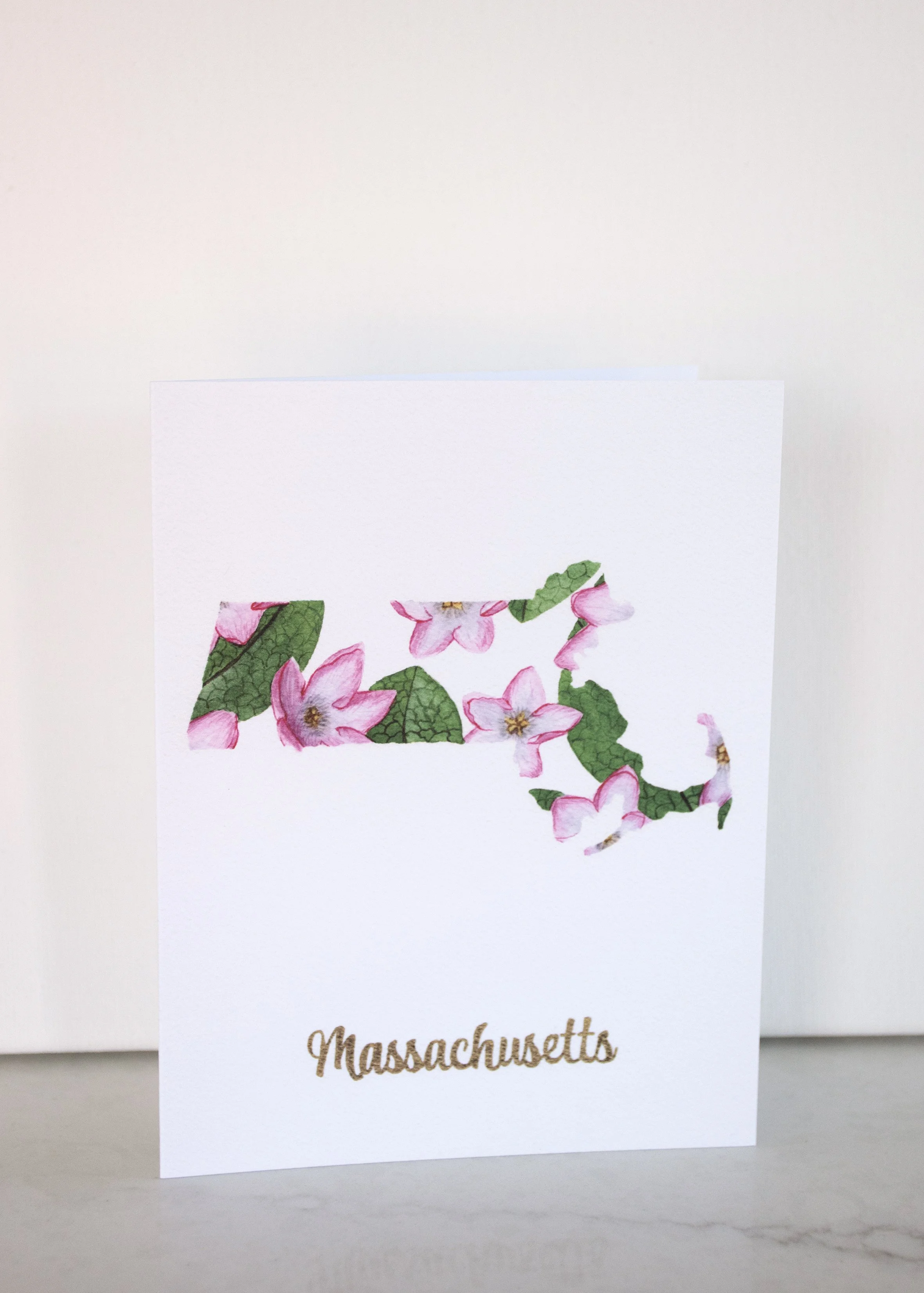 Massachusetts State Flower Greeting Cards
