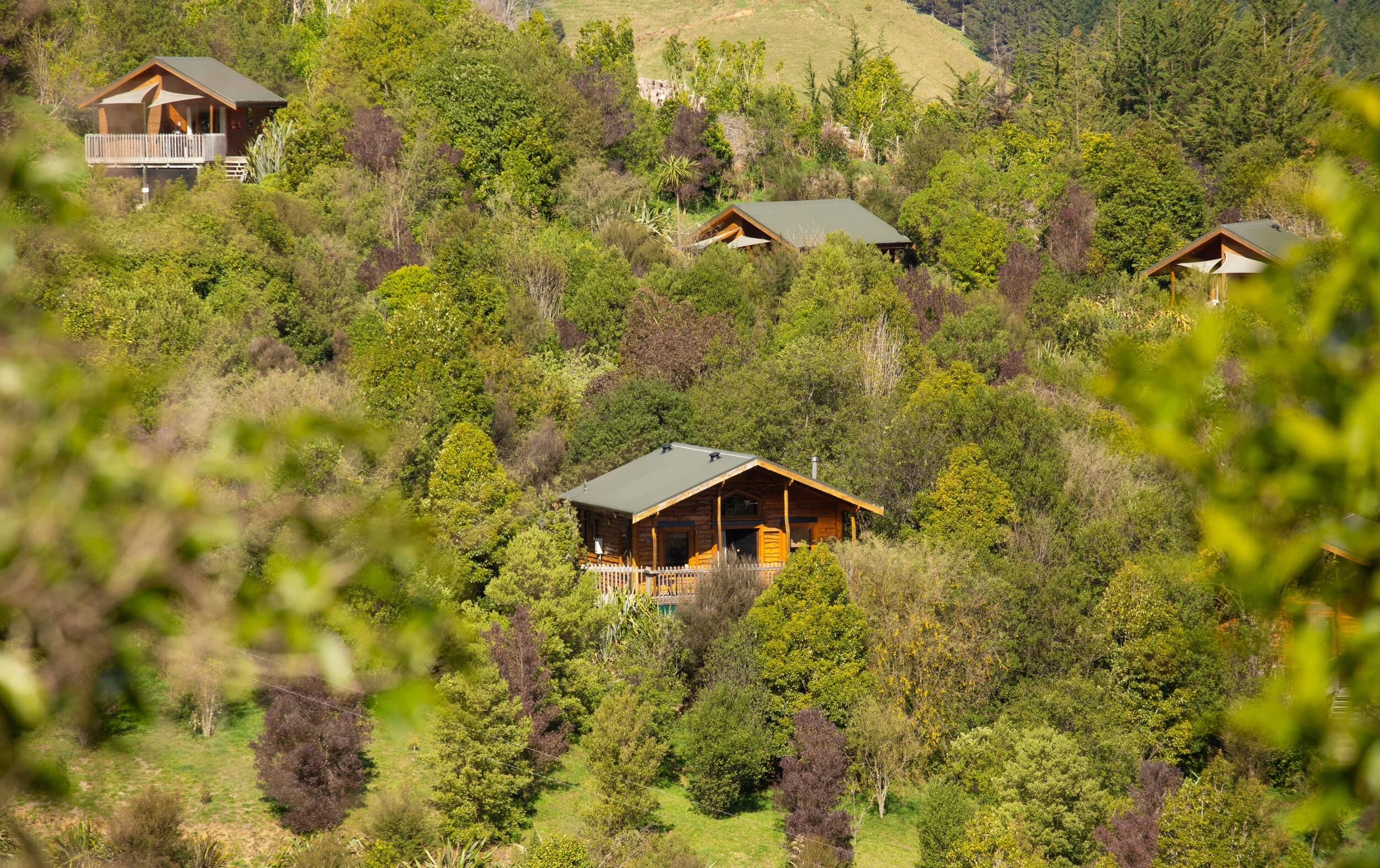 Bush Lodges and Chalets