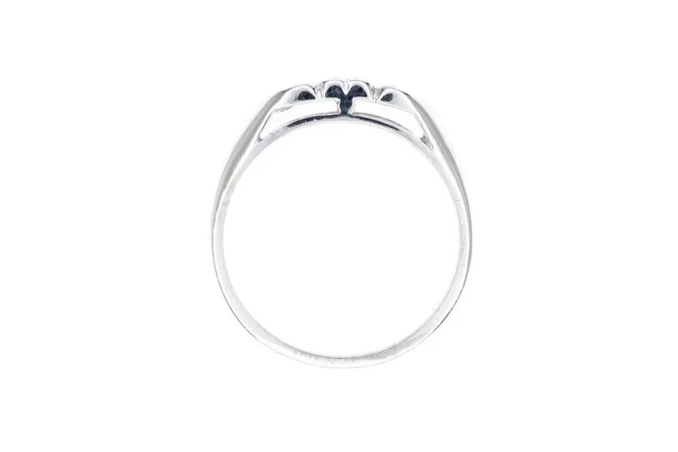 (F)White Gold Single Cut Diamond Band