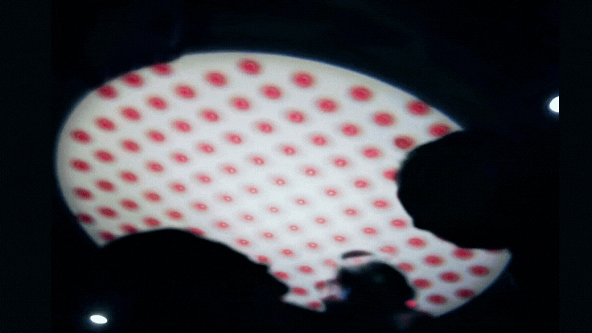 global week map (3).gif