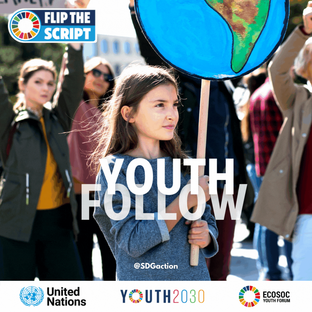 ECOSOC_Youth_Forum_Youth_follow_lead_-_option_3.gif