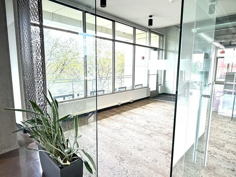 lyric306_corner_office_plants.jpg