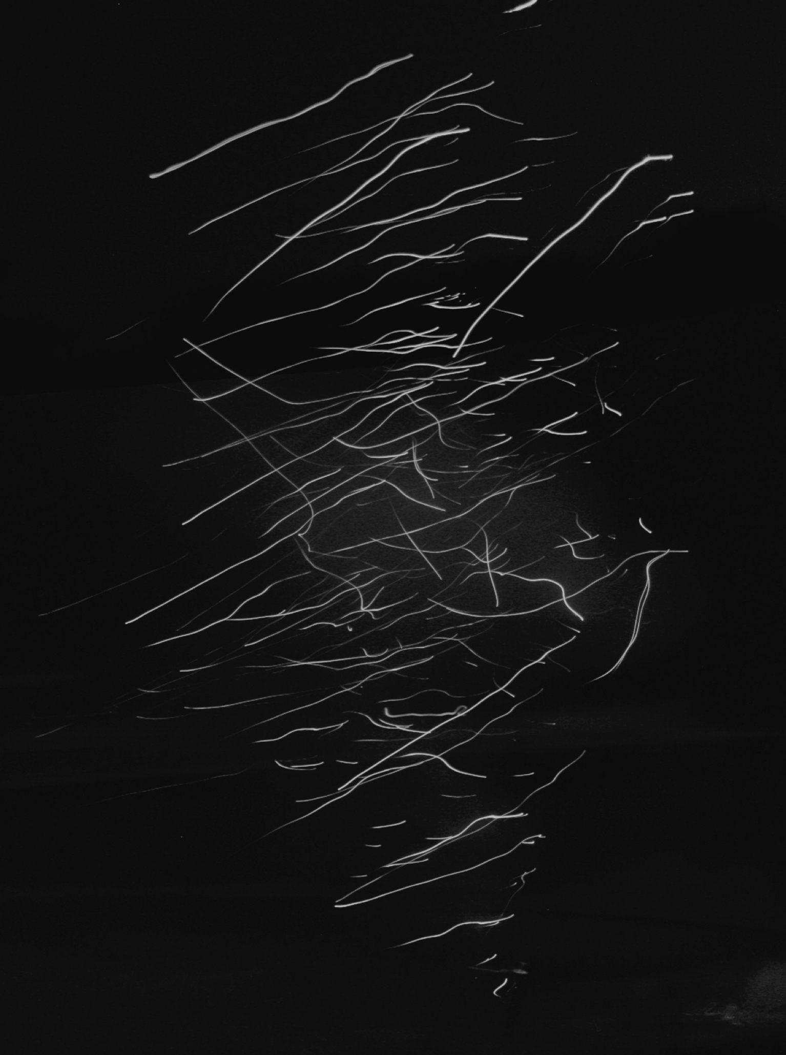 Screen Shot 2020-06-20 at 9.20.23 PM.png