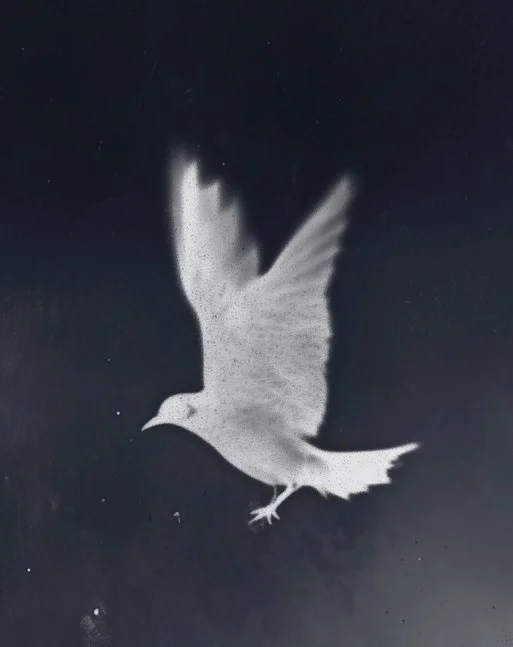 amani2464_photogram_picturing_a_hammer_birds_flying_leaves_and__3e36c1f1-56eb-49f8-8bcb-a07338c0d04f.jpg