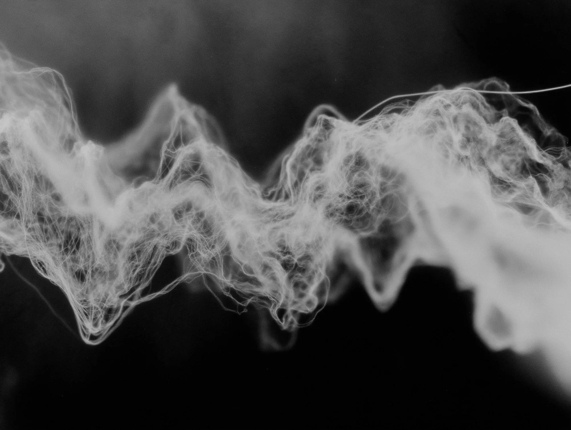 amani2464_an_abstract_photogram_of_a_pulse_--chaos_55_--ar_43_56f2a6e0-7f72-4373-9c59-97b38574a5b8_1.jpg
