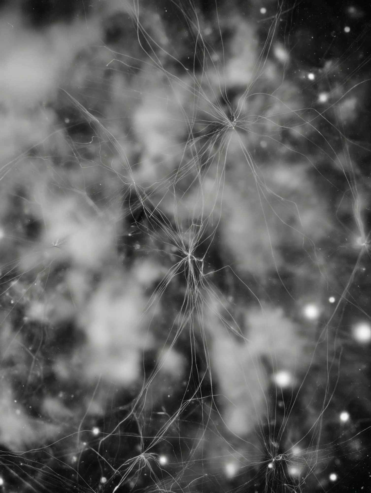amani2464_an_abstract_photogram_of_the_universe._--chaos_55_-_648217e6-2322-4f2c-b328-a864e8fd309a_2.jpg