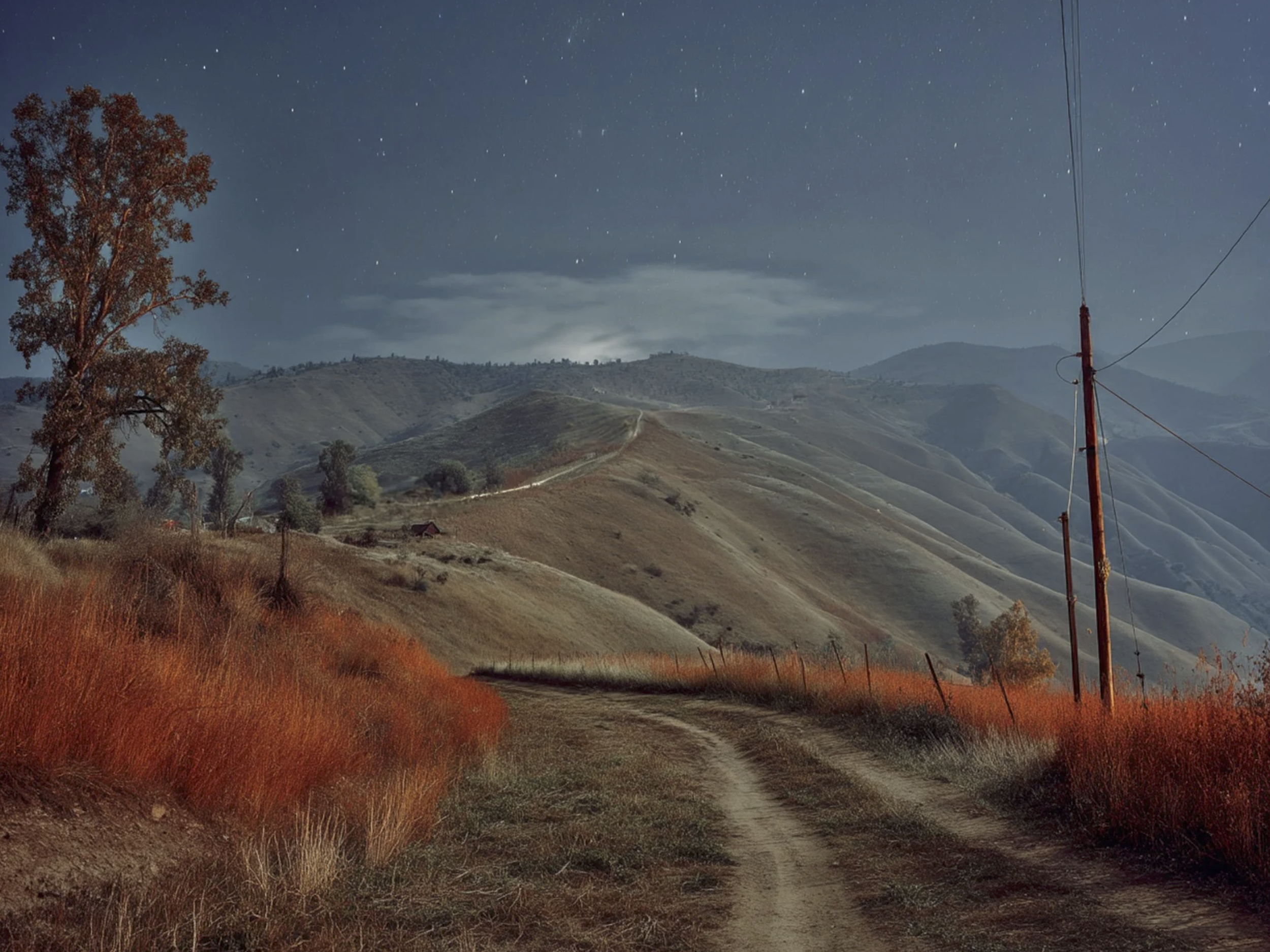 Screenshot 2026-03-03 at 1.03.13 PM.png