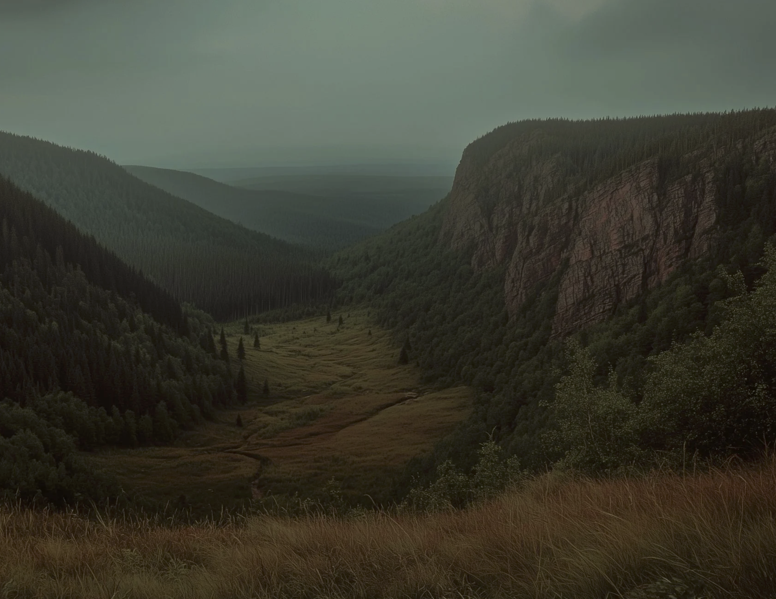 Screenshot 2026-03-03 at 12.21.08 PM.png